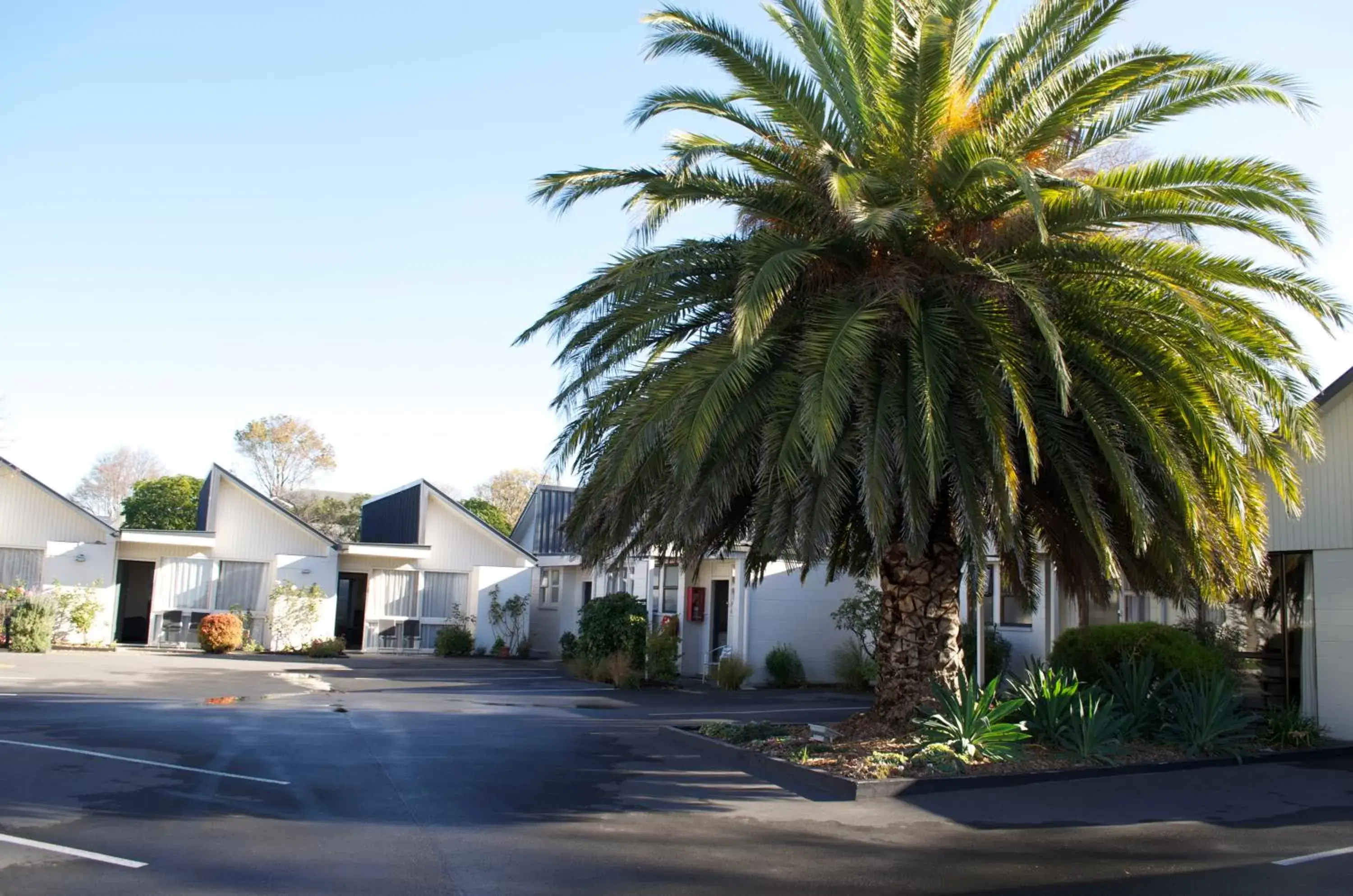 Garden, Property Building in Diplomat Motel