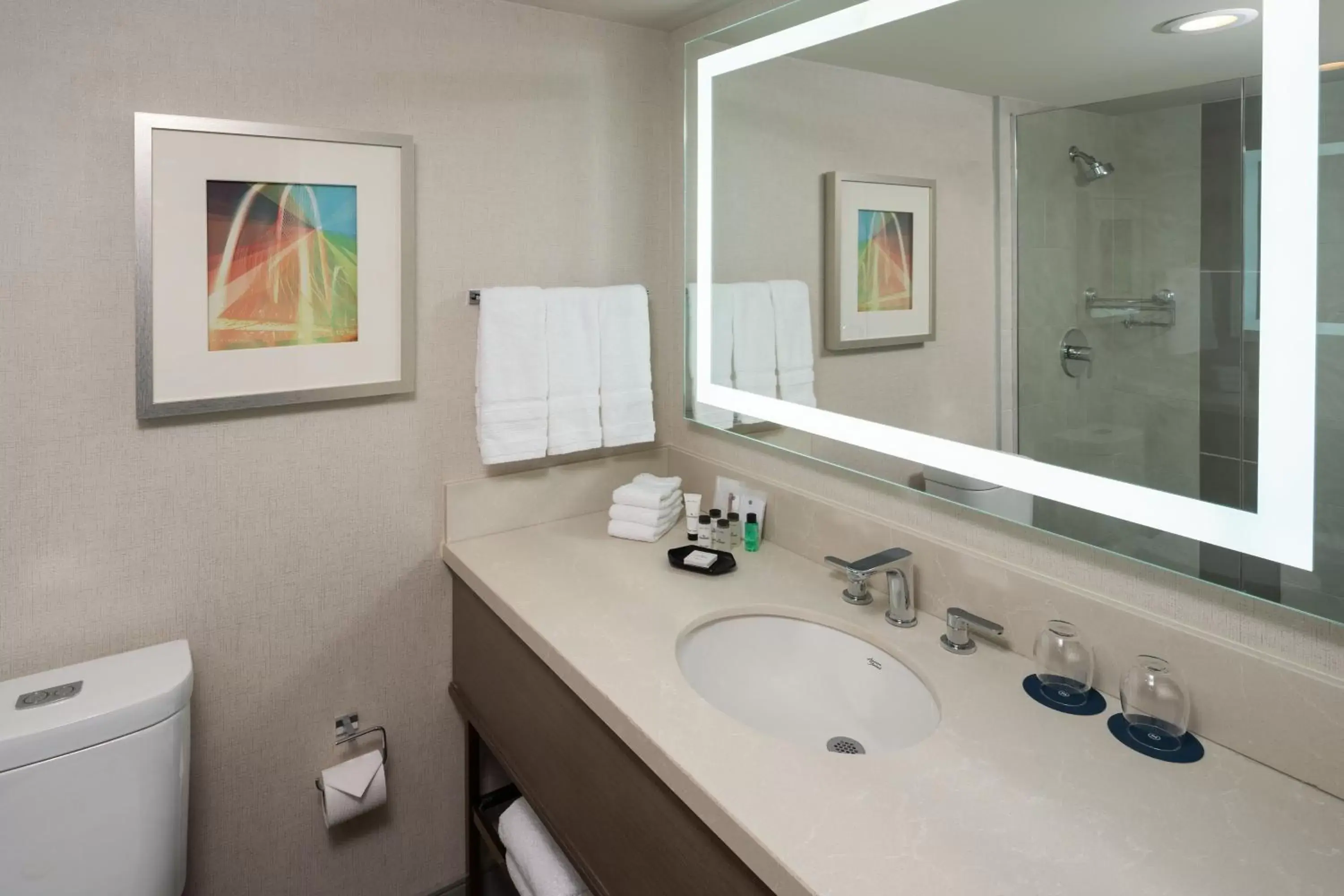Bathroom in Sheraton Dallas Hotel by the Galleria