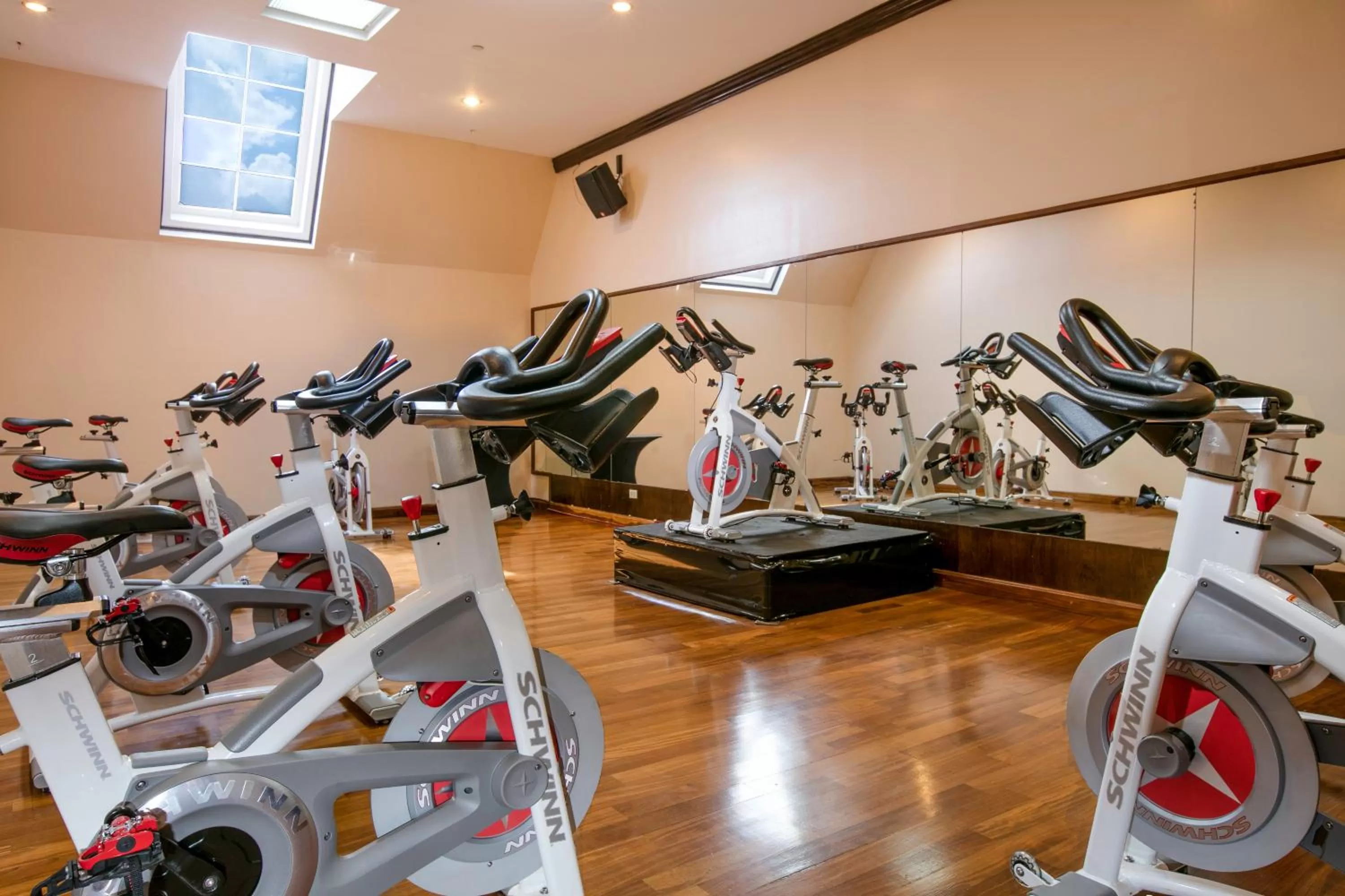 Sports in Barceló San Salvador