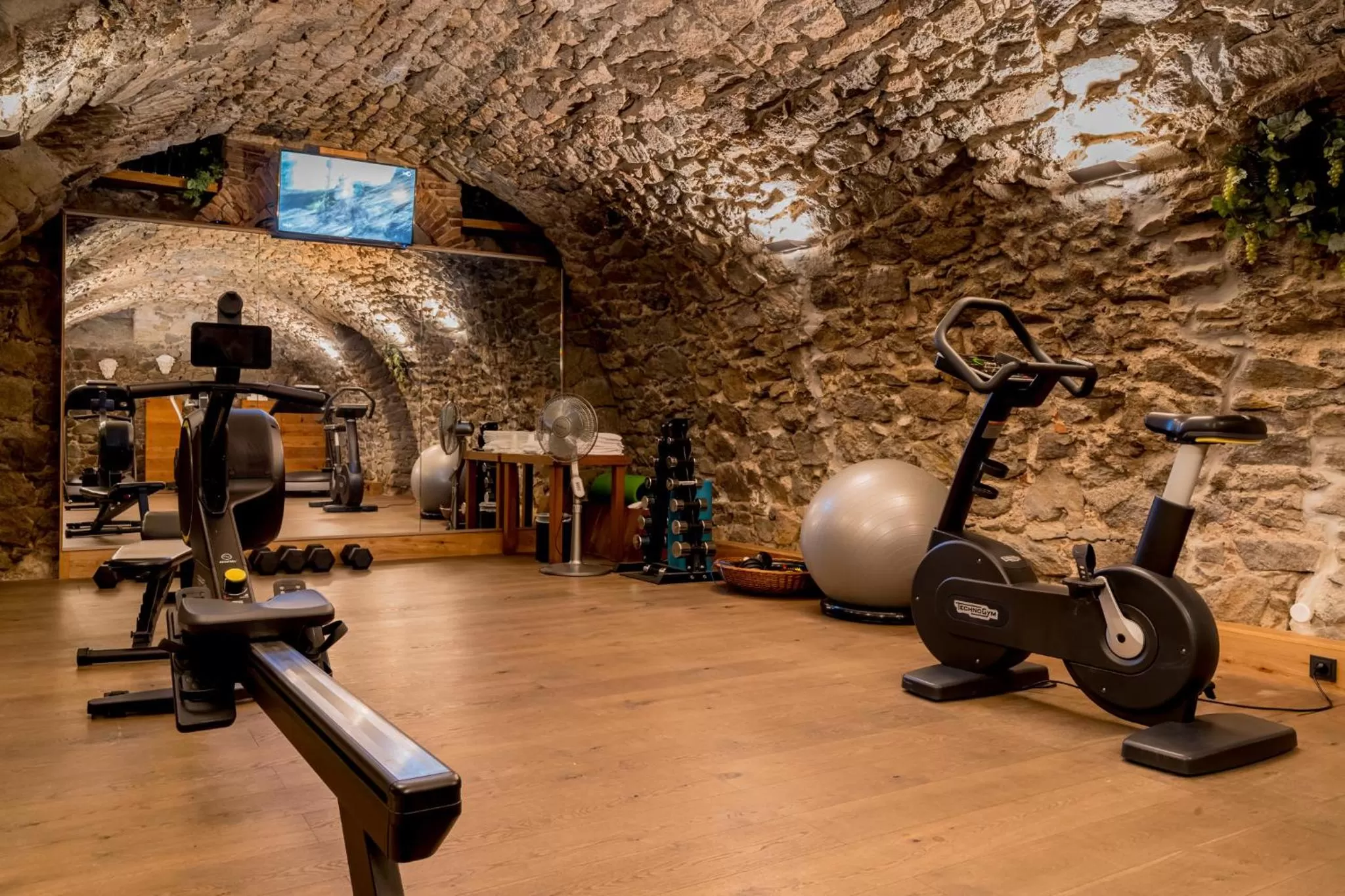 Fitness centre/facilities in Hotel Bacchus