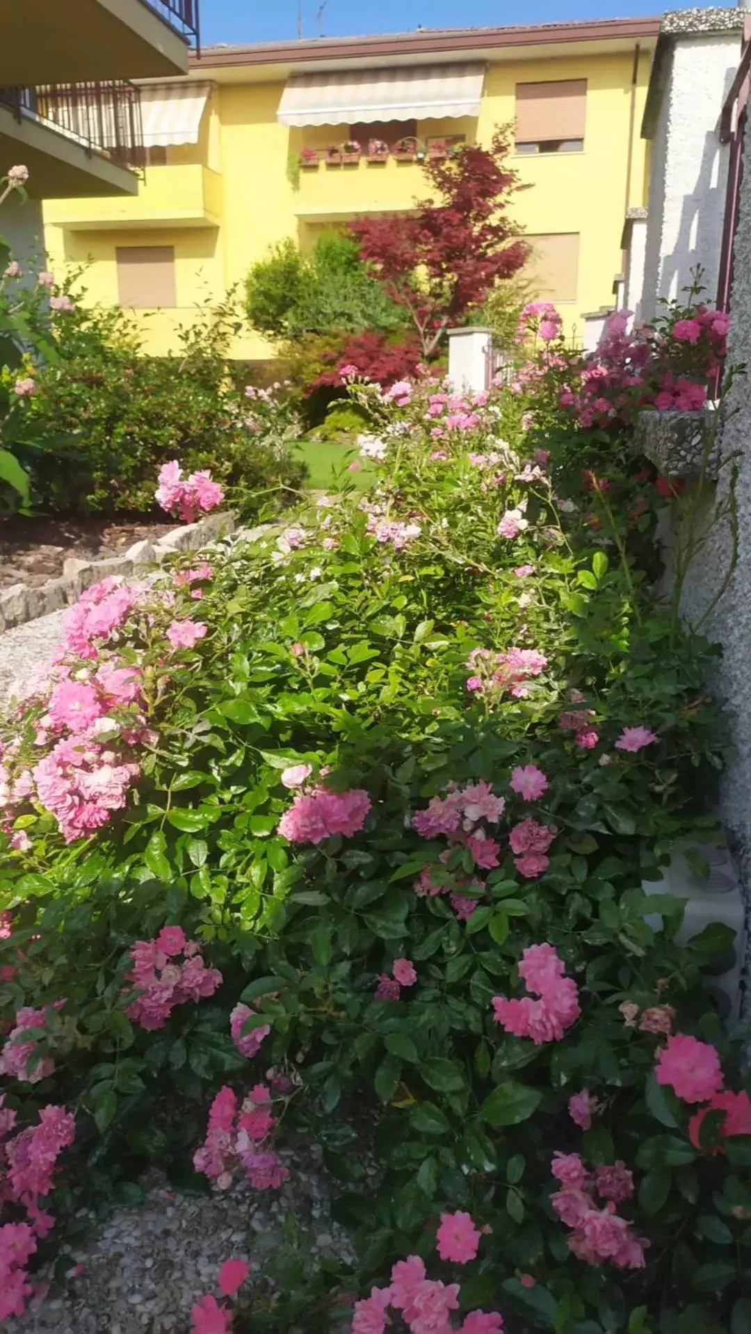 Garden view, Garden in Al Casale B&B