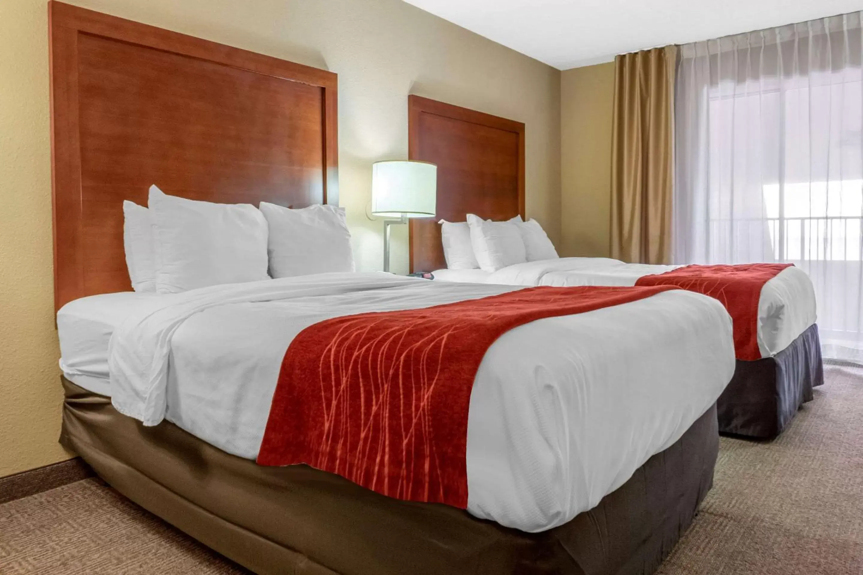 Photo of the whole room, Bed in Comfort Inn Albuquerque Airport