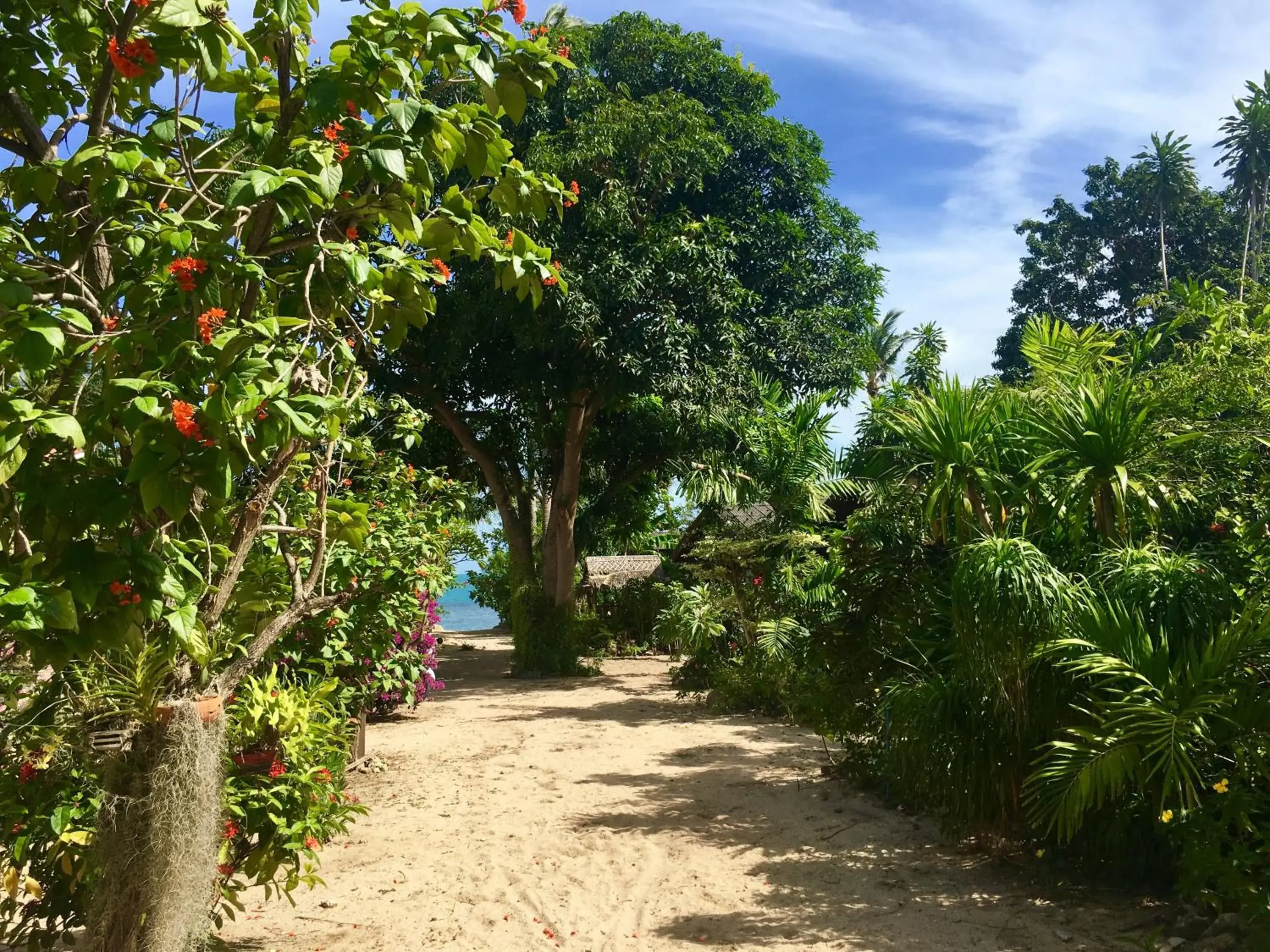 Day, Garden in Bangpo Village