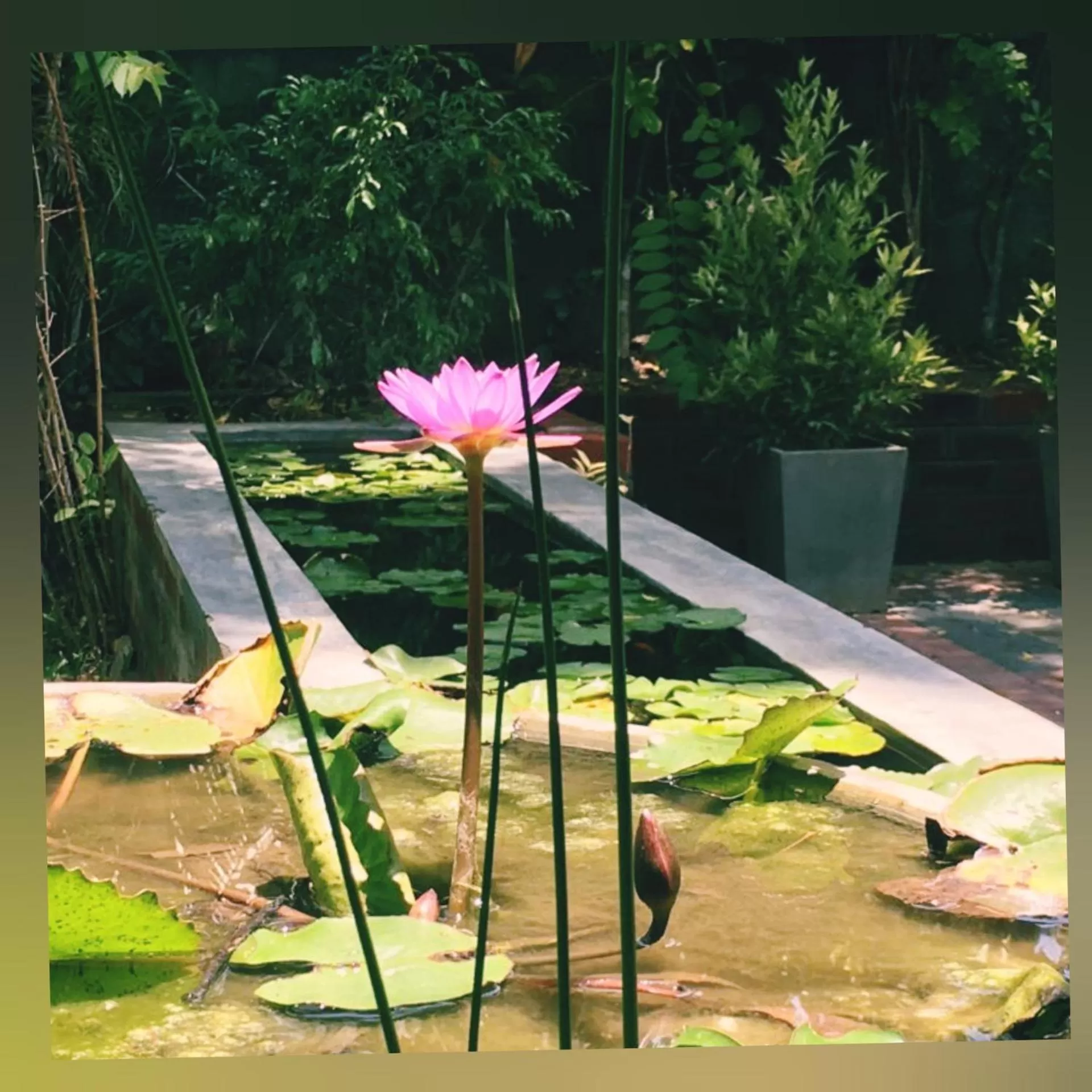 Seyara Holiday Resort