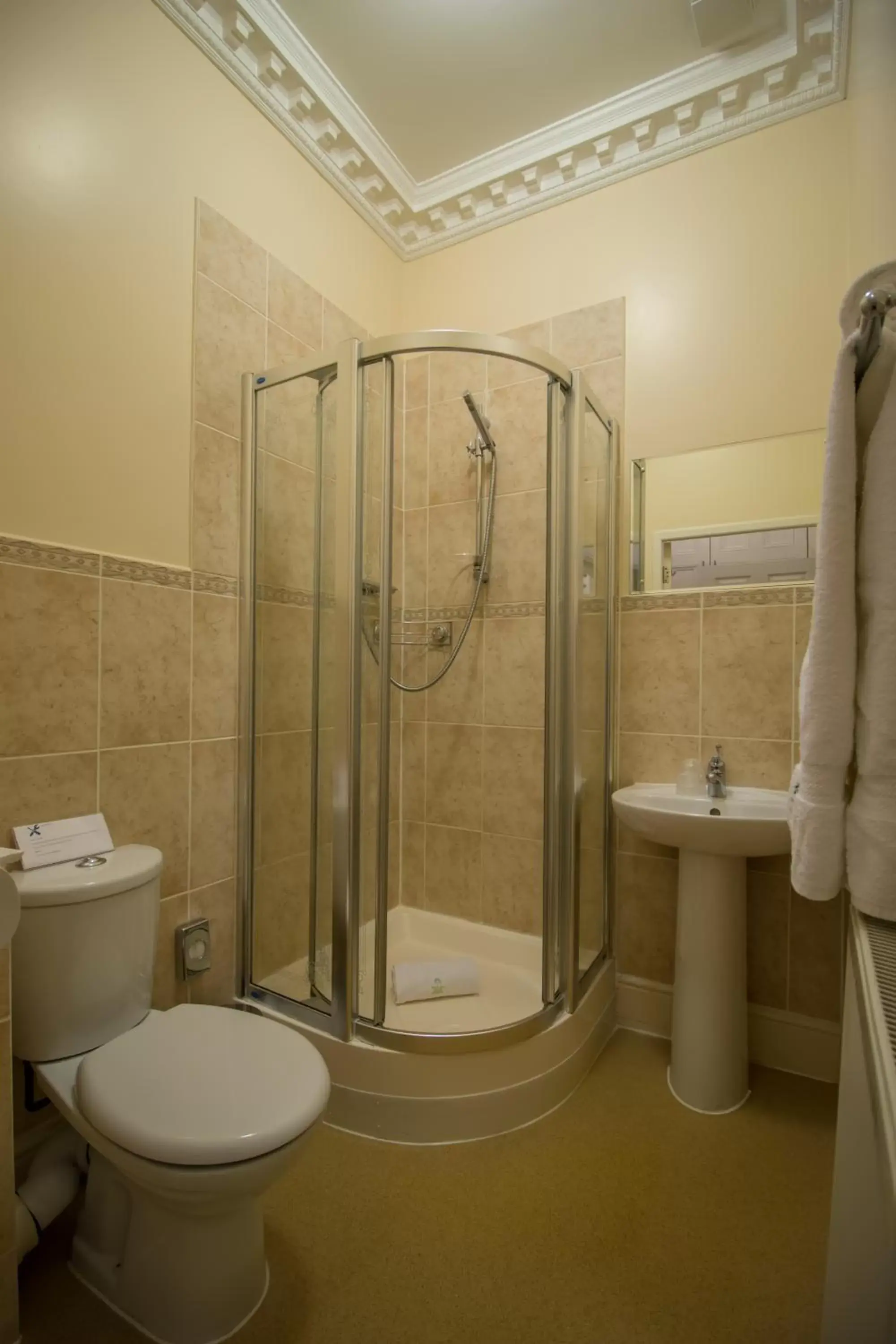 Shower, Bathroom in A Park View Hotel