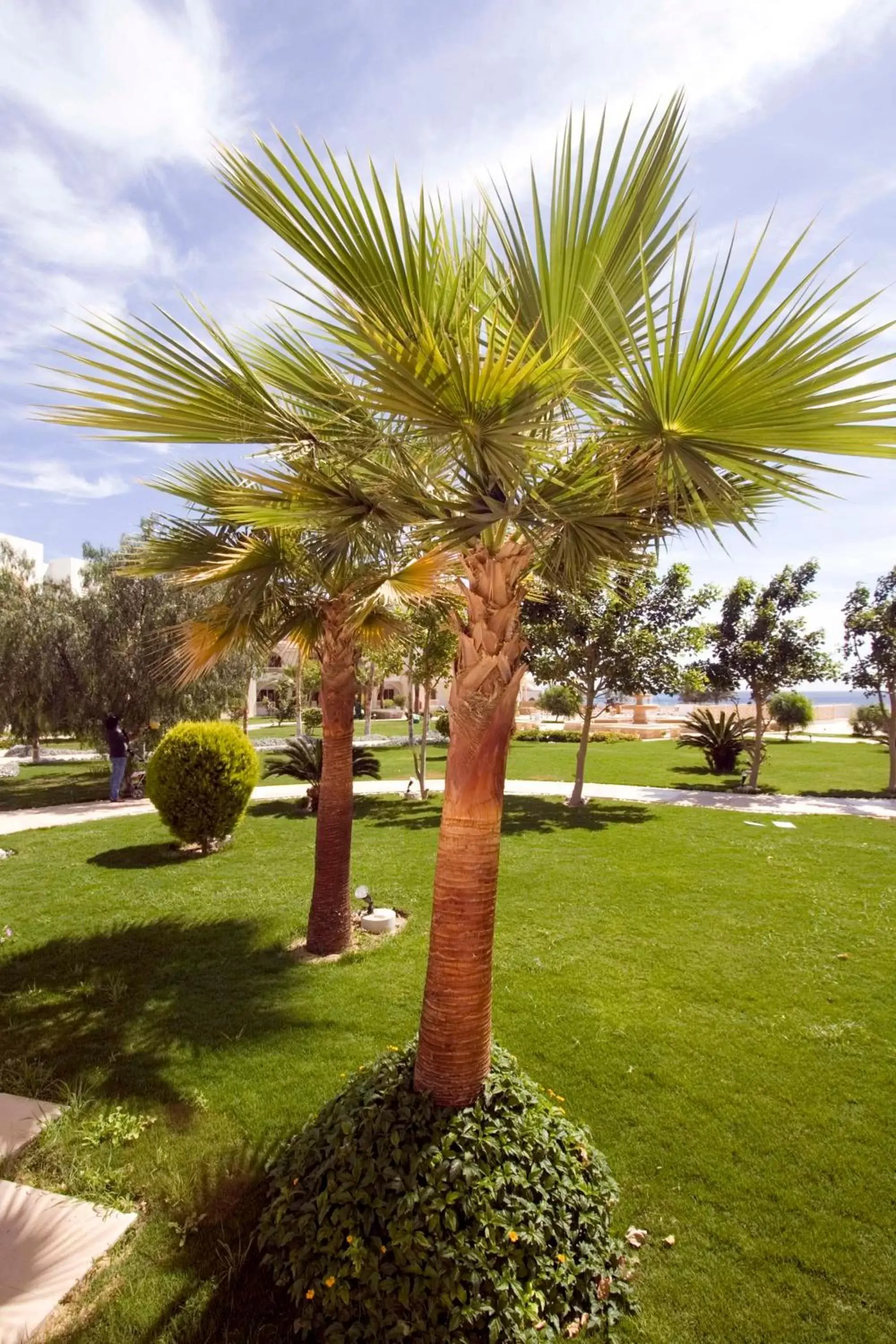 Garden in Old Palace Resort Sahl Hasheesh