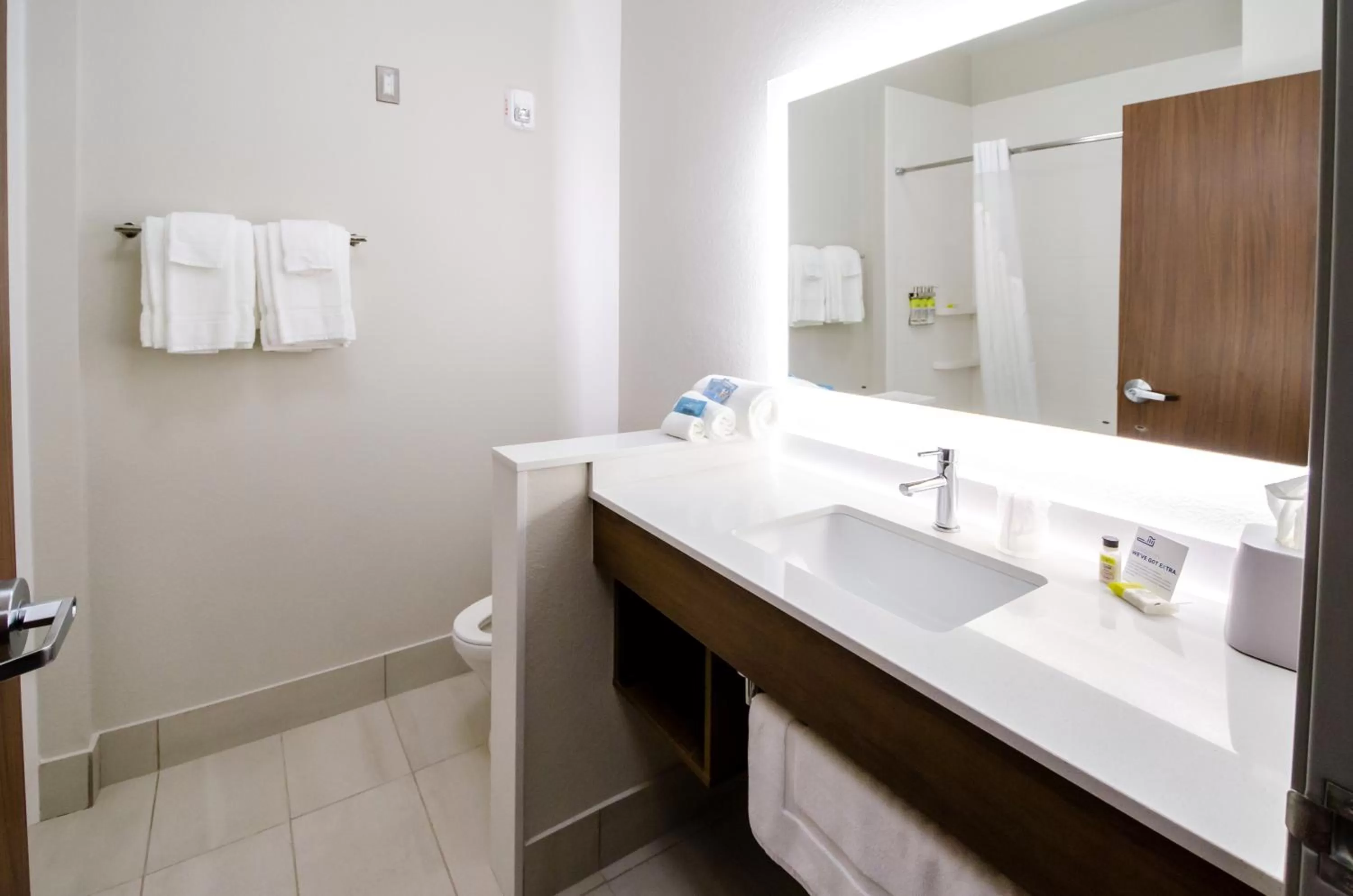 Bathroom in Holiday Inn Express & Suites Taylor by IHG