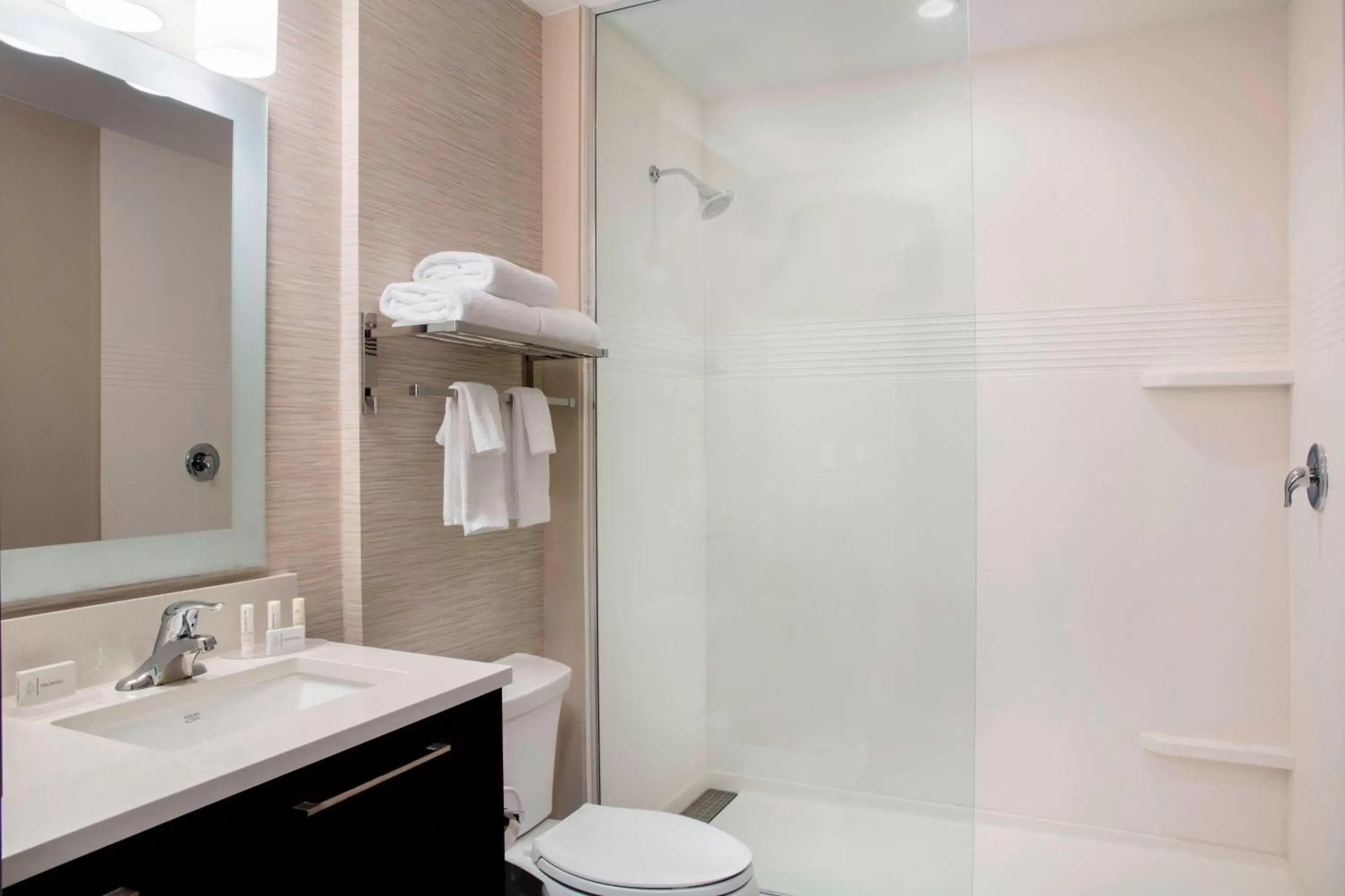 Bathroom in TownePlace Suites by Marriott Miami Homestead