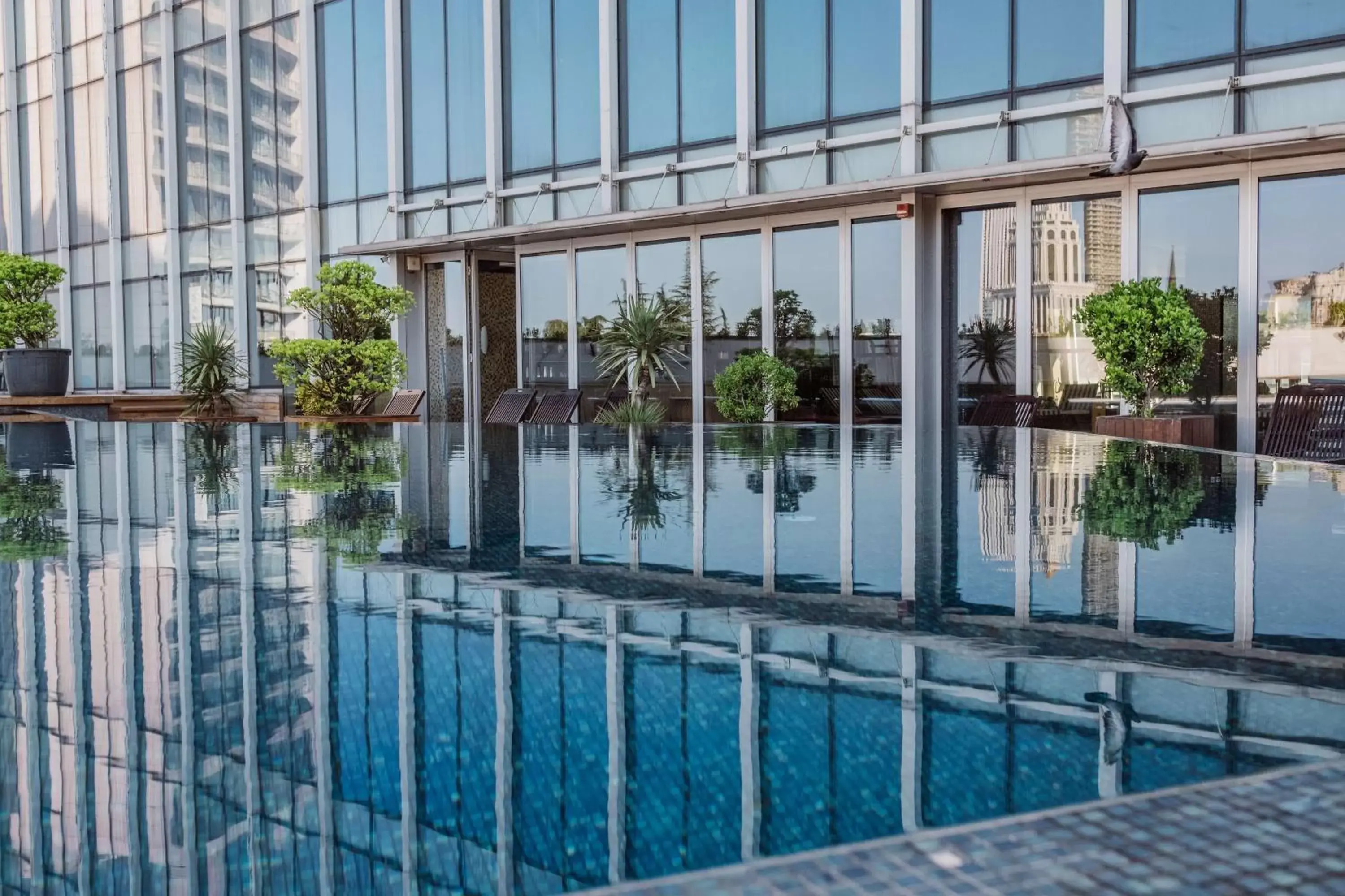 Pool view, Swimming Pool in Radisson Blu Hotel Batumi