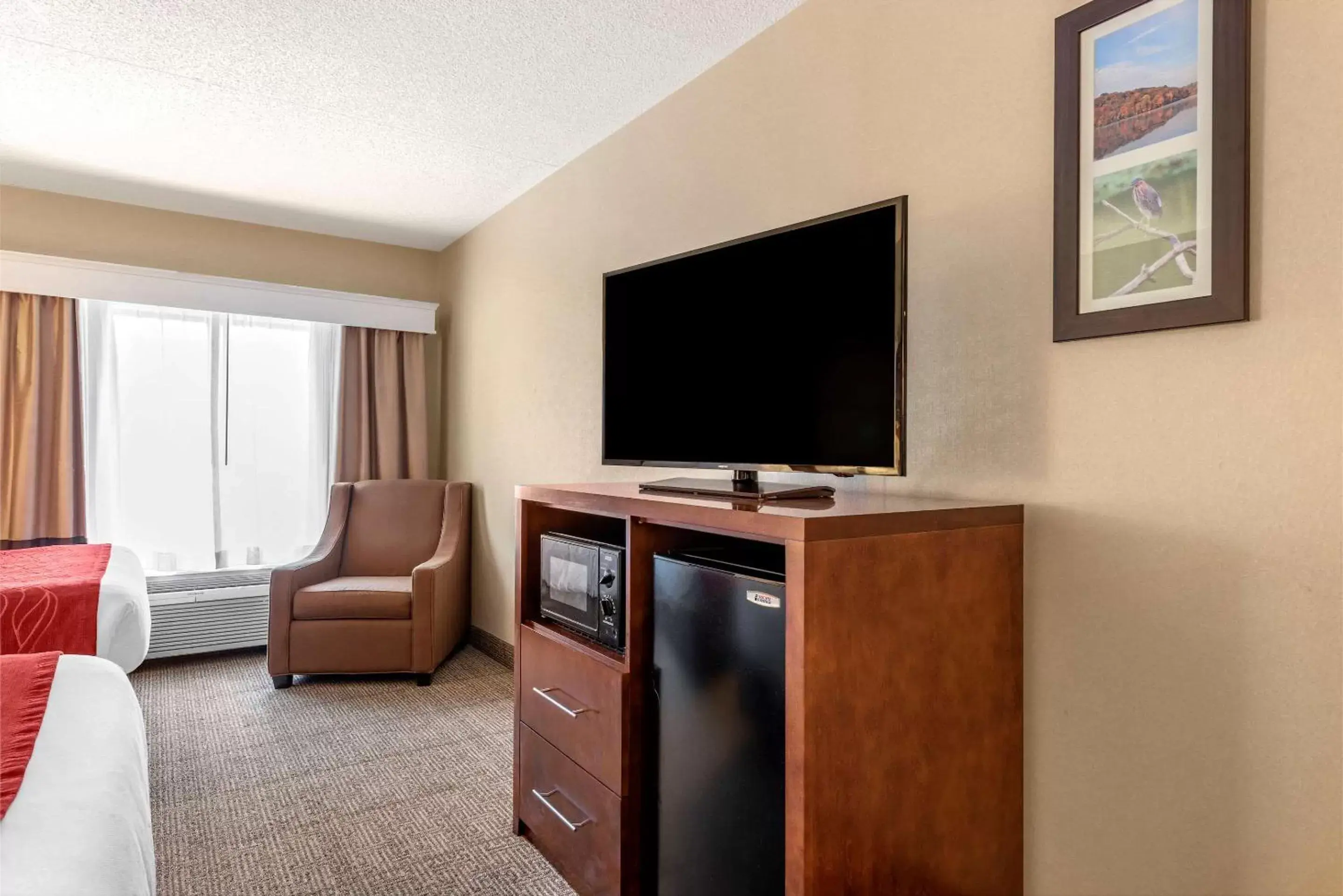 Photo of the whole room, TV/Entertainment Center in Comfort Inn & Suites Morehead