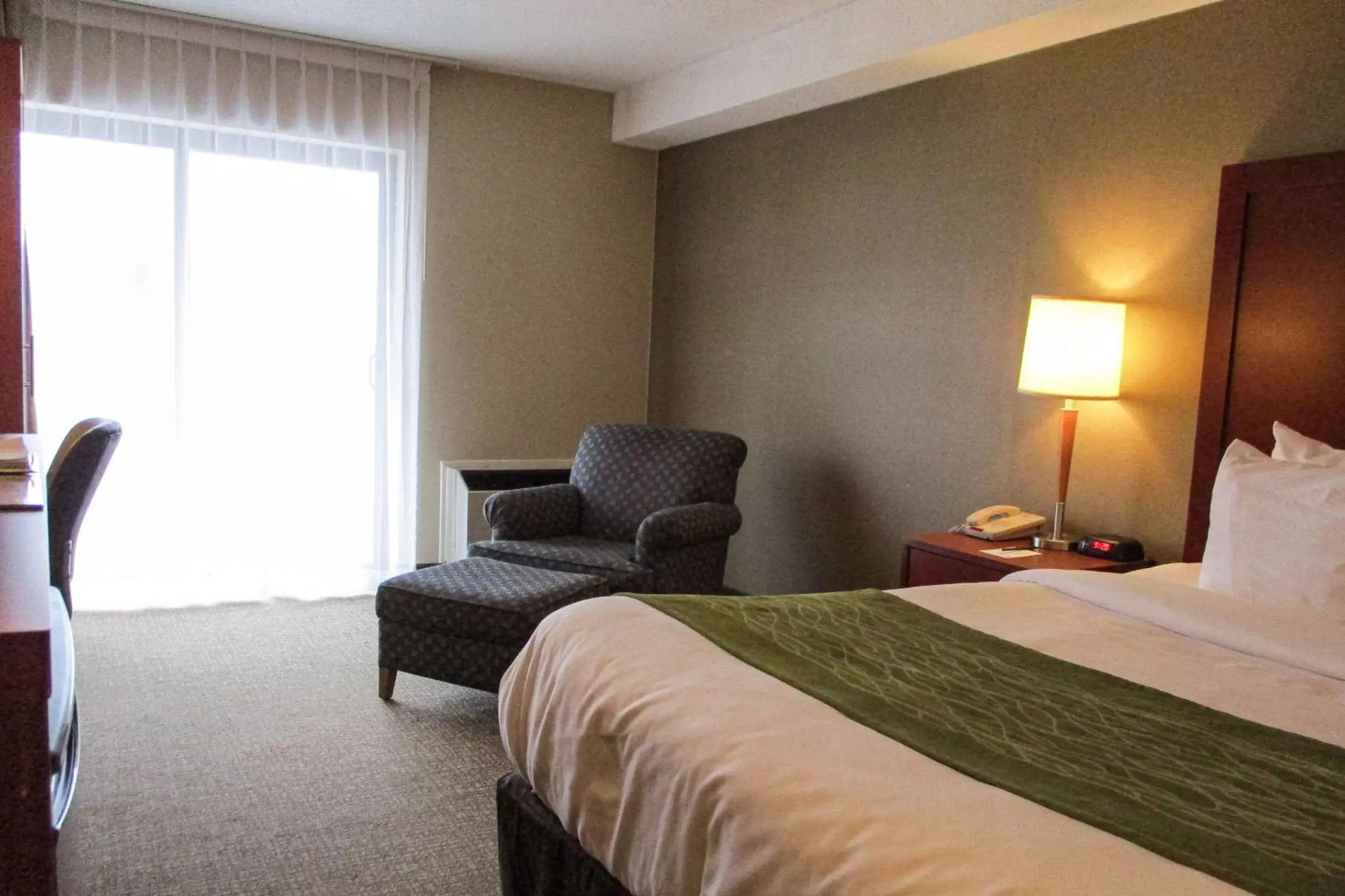 Photo of the whole room, Bed in Comfort Inn Dartmouth