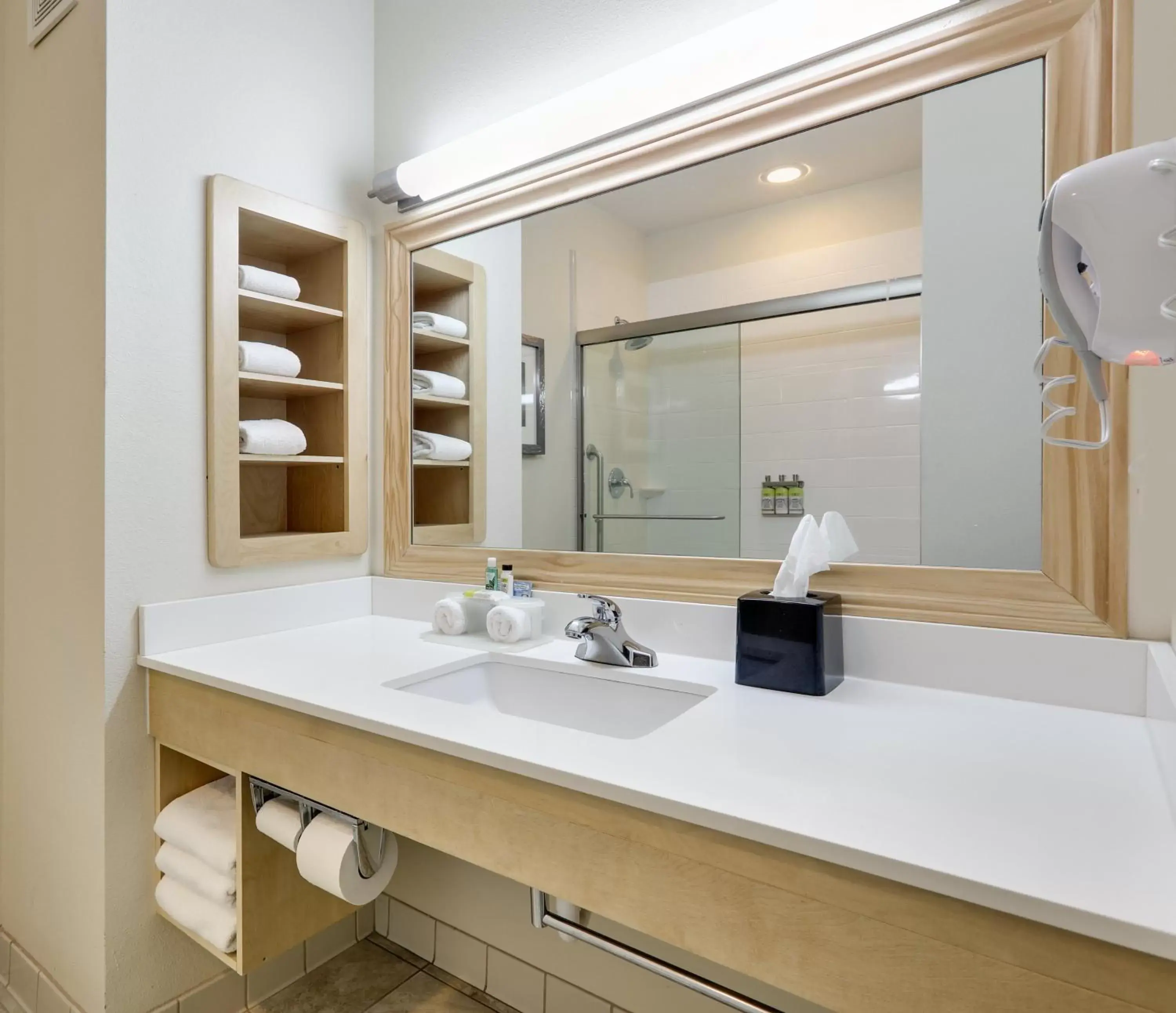 Bathroom in Holiday Inn Express & Suites San Antonio Brooks City Base, an IHG Hotel