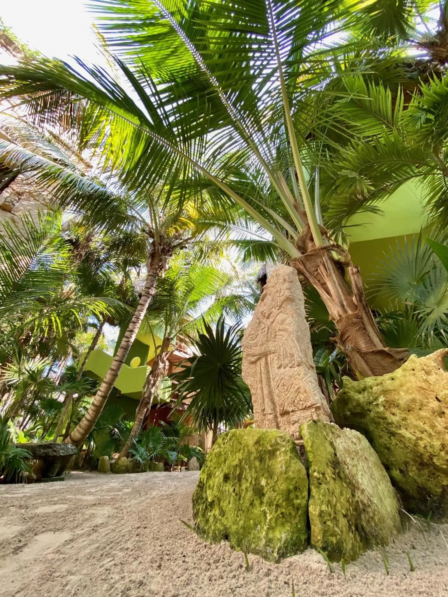 Garden view, Garden in Sueños Tulum