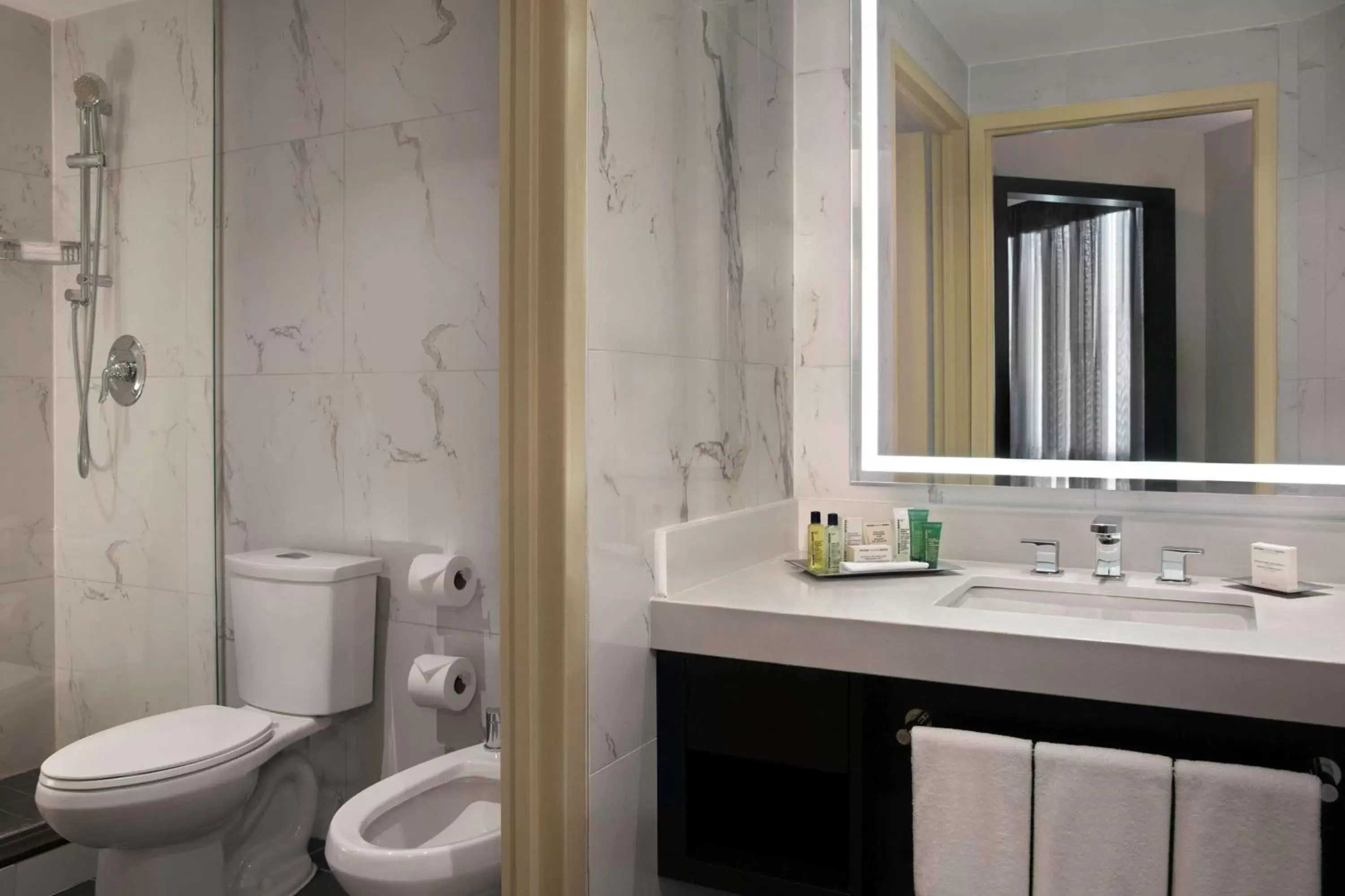 Bathroom in Hilton Suites Toronto-Markham Conference Centre & Spa