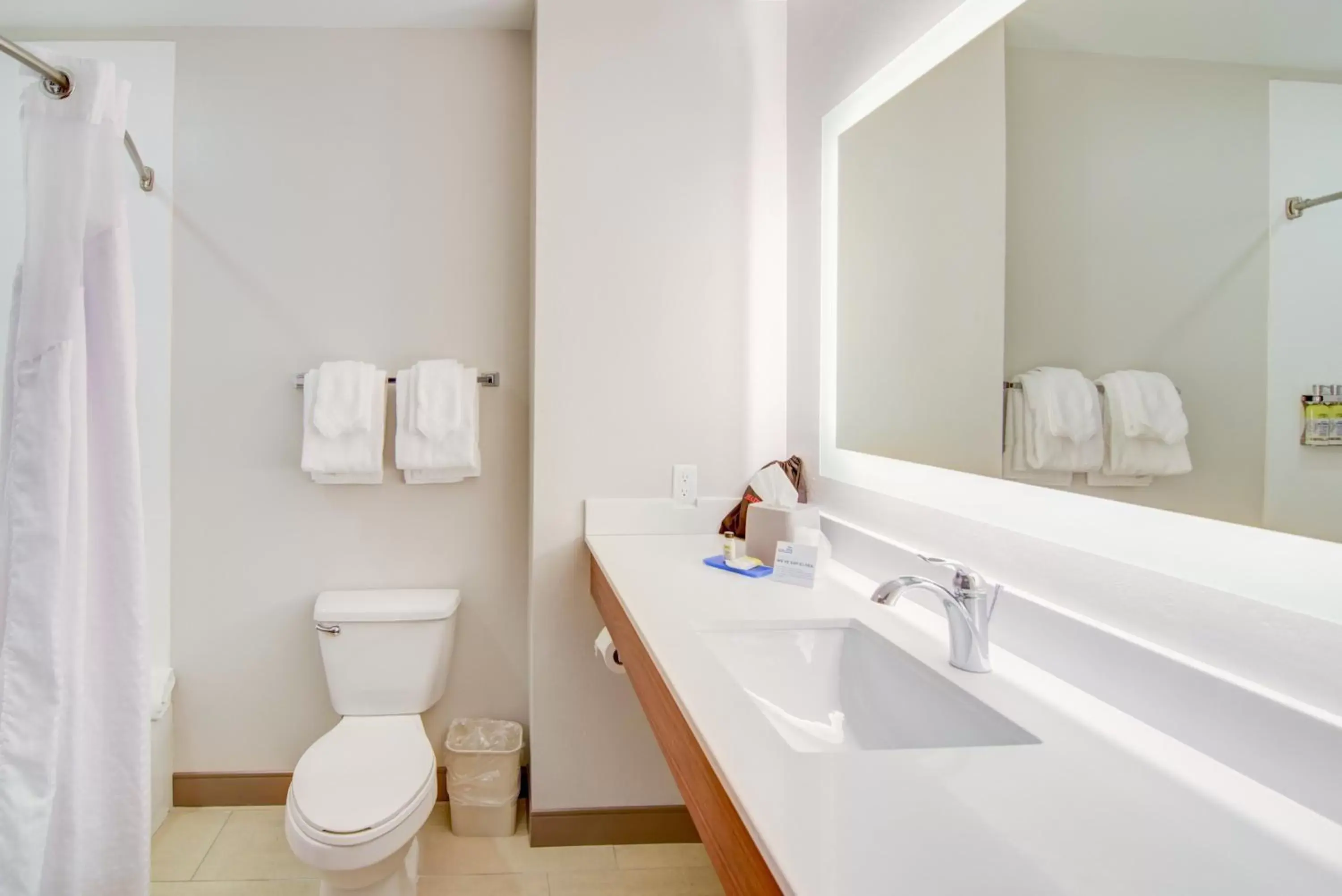 Bathroom in Holiday Inn Express Hotel & Suites Foley, an IHG Hotel
