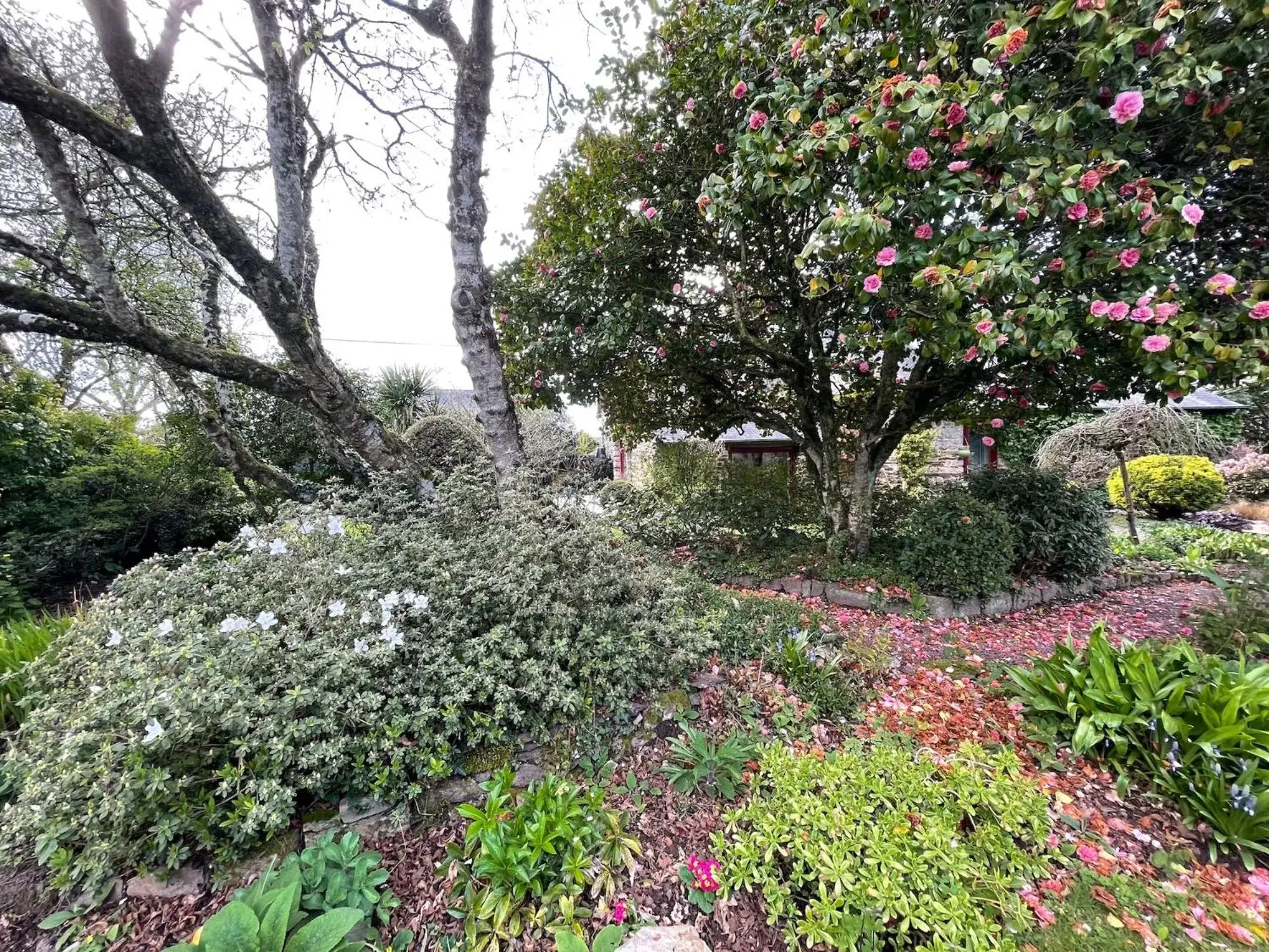 Garden in La Corne de Cerf, Forêt de Brocéliande