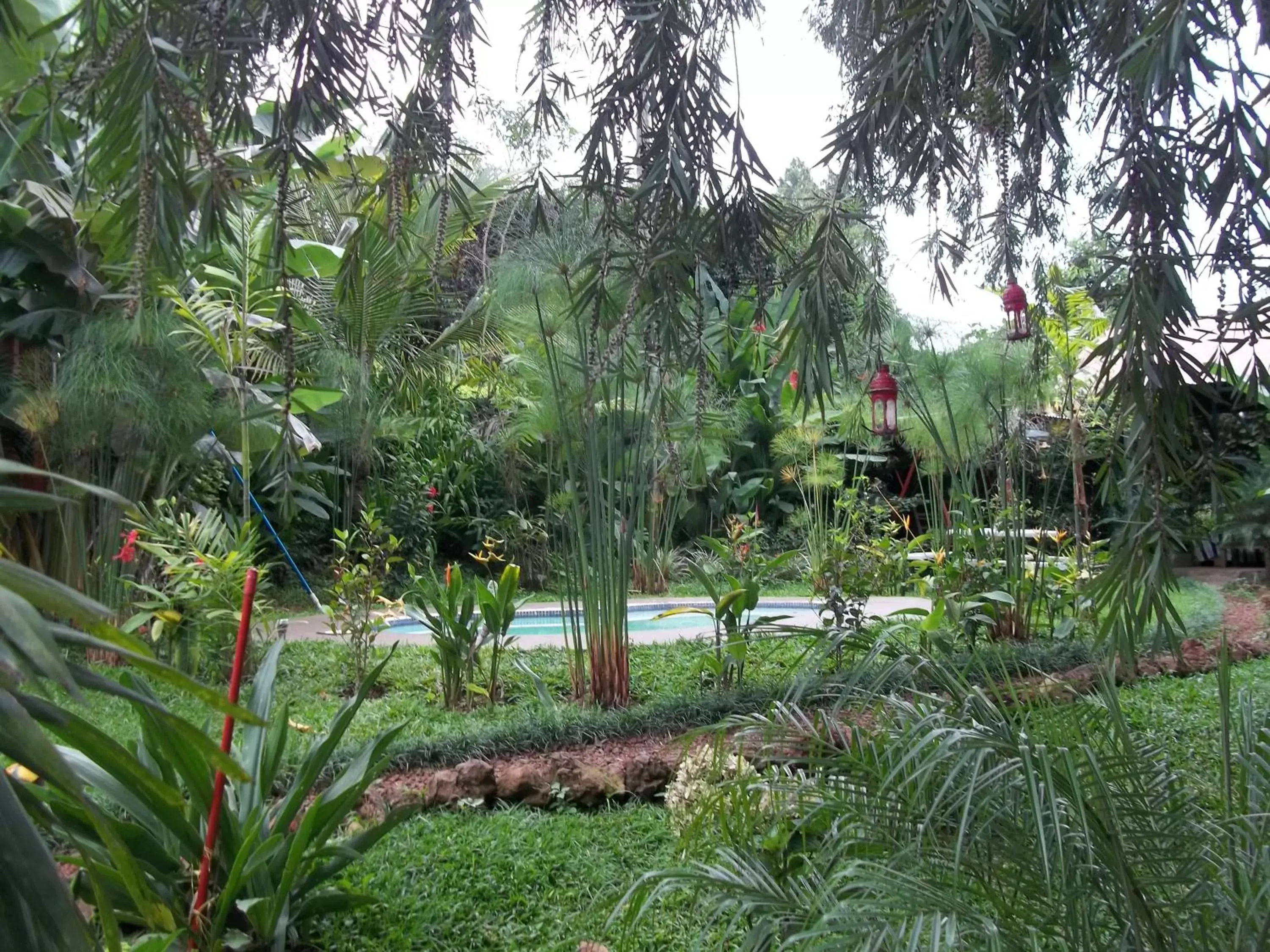 Natural landscape, Garden in Villa Pacande Bed and FreeBreakfast