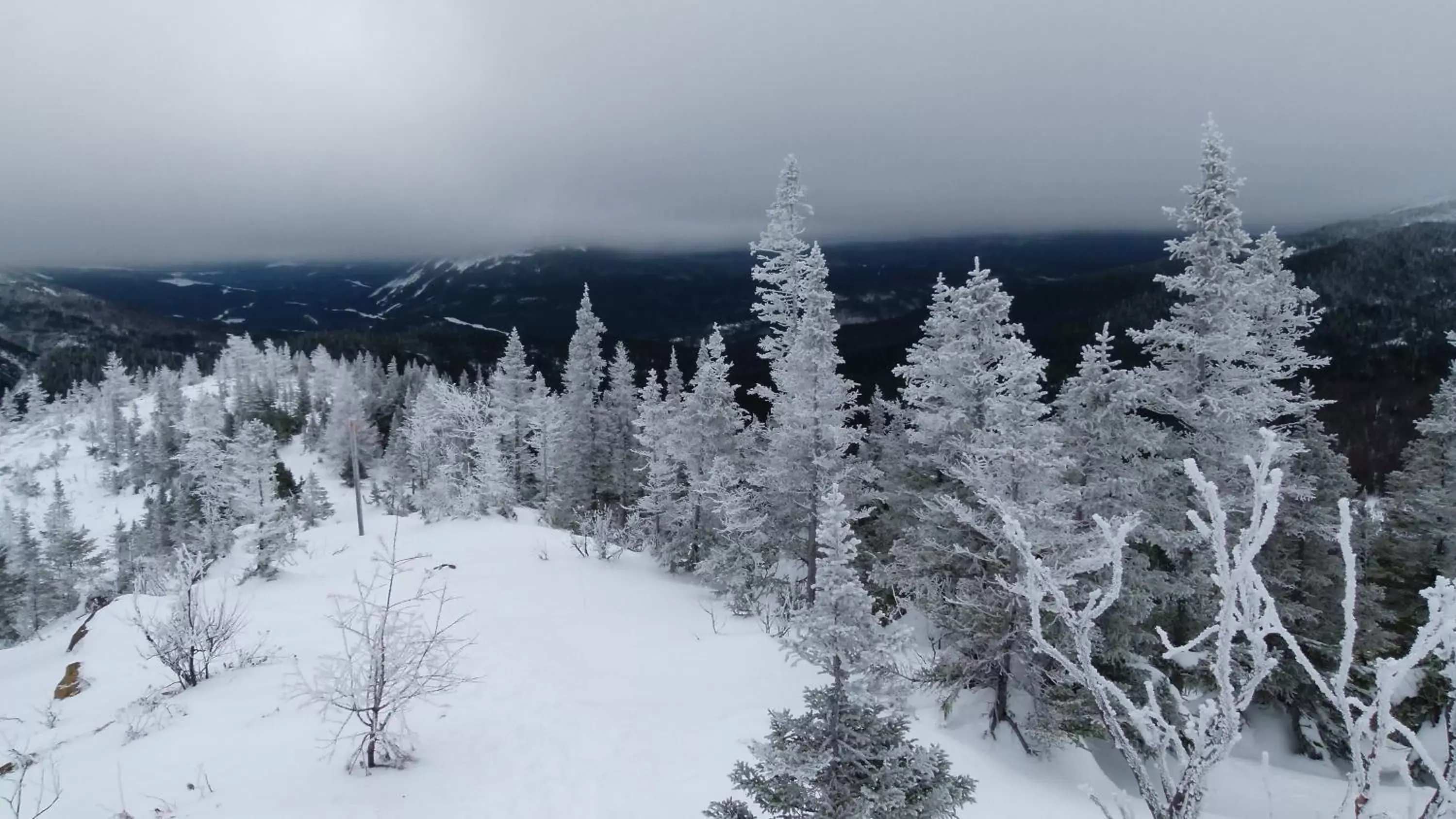 Activities, Winter in La Maison entre Mer Montagnes