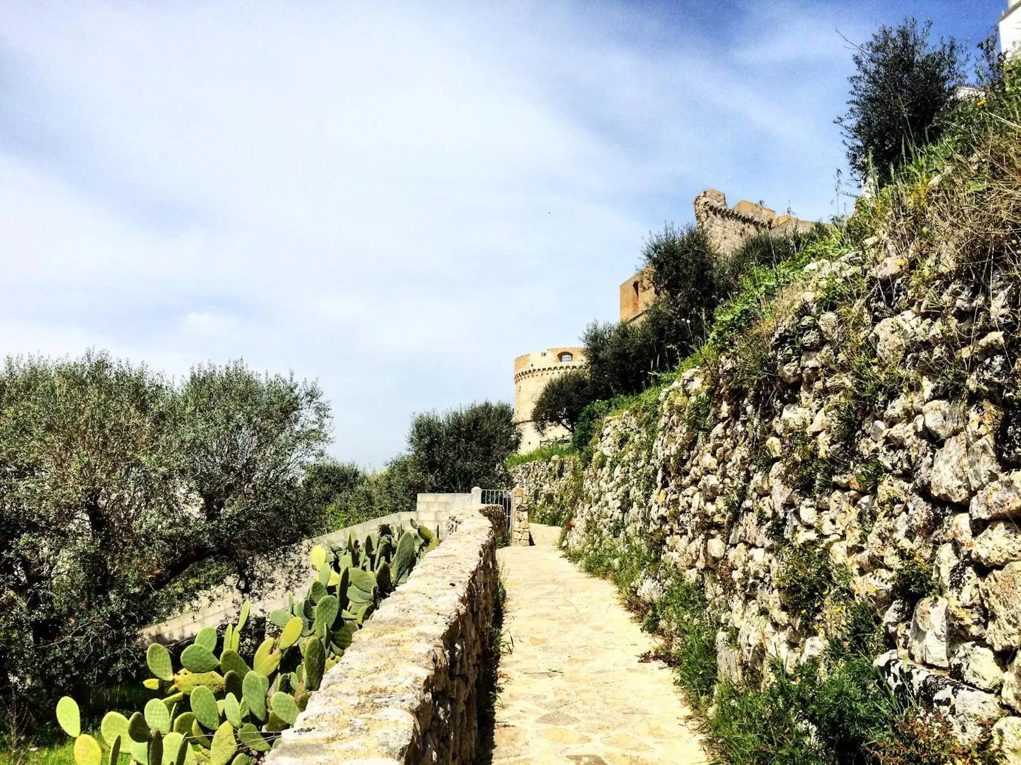 Natural landscape in B&B La Rosa Antica