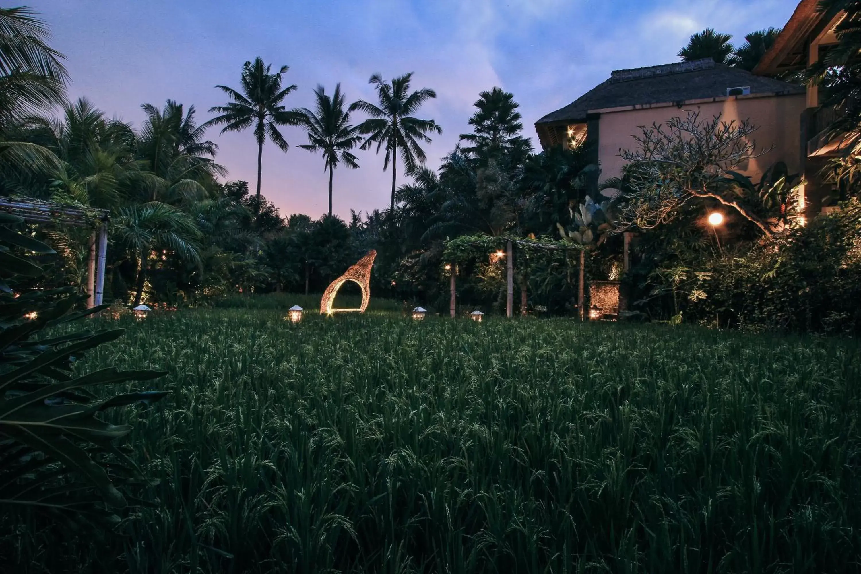 Natural landscape, Garden in The Sankara Resort by Pramana