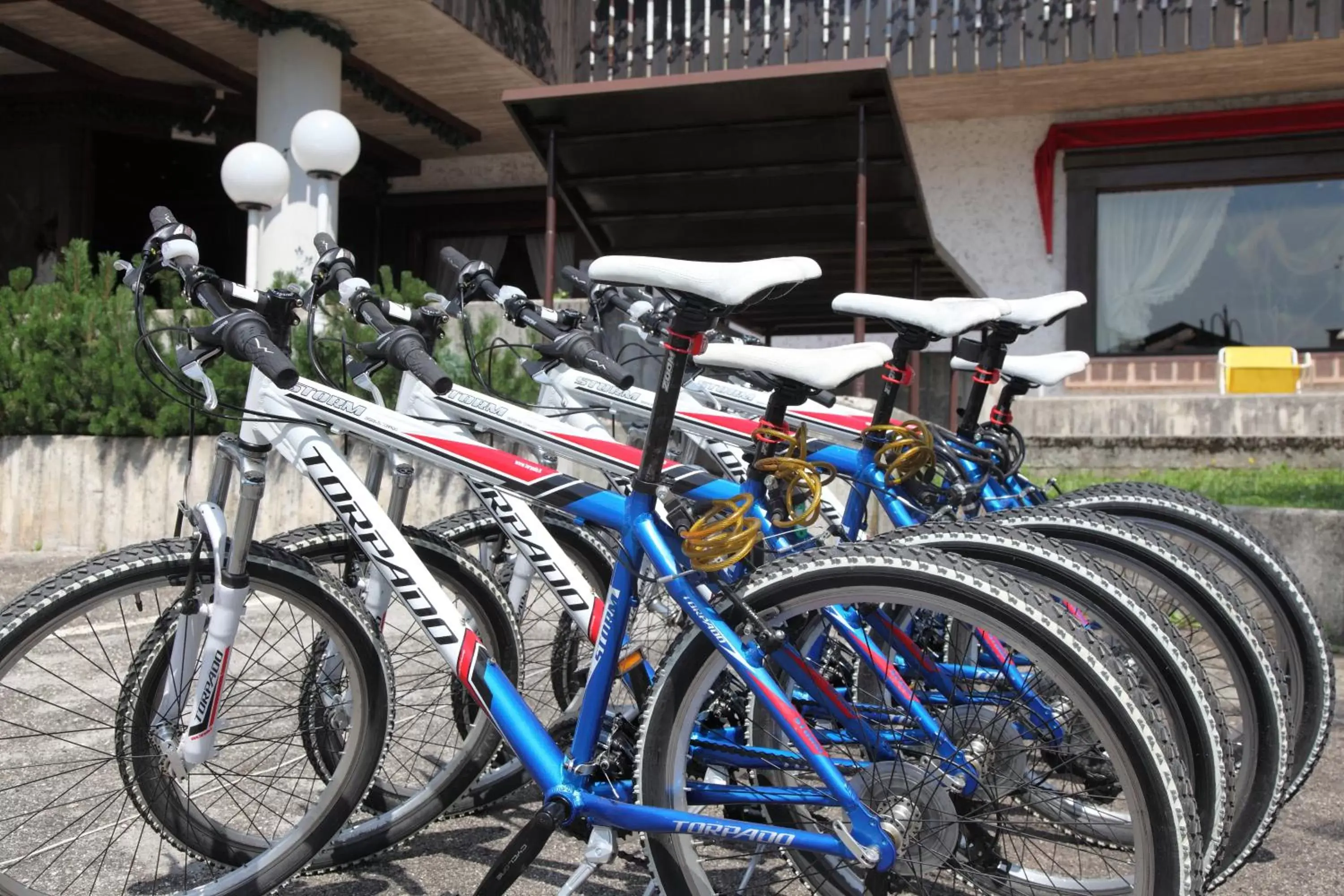 Cycling, Biking in Hotel Nigritella