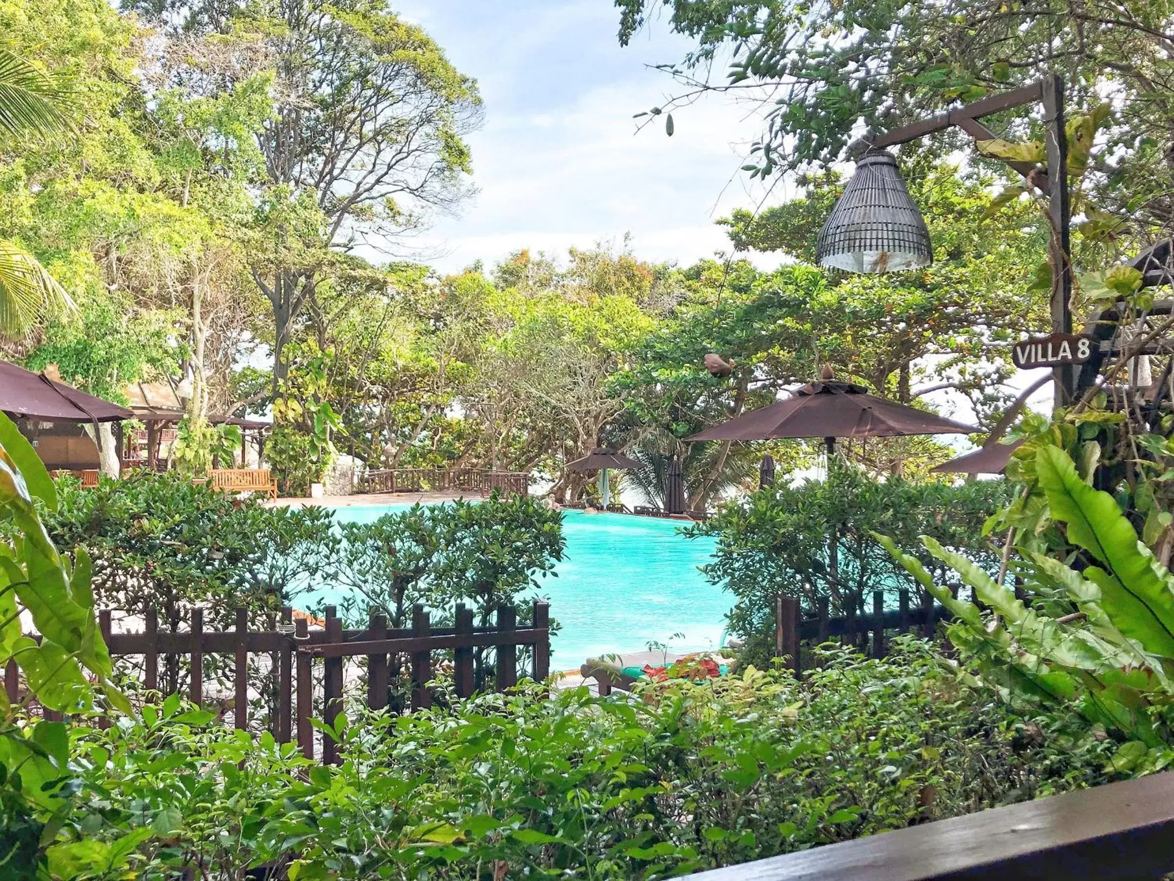 Pool view, Swimming Pool in Birds and Bees Resort