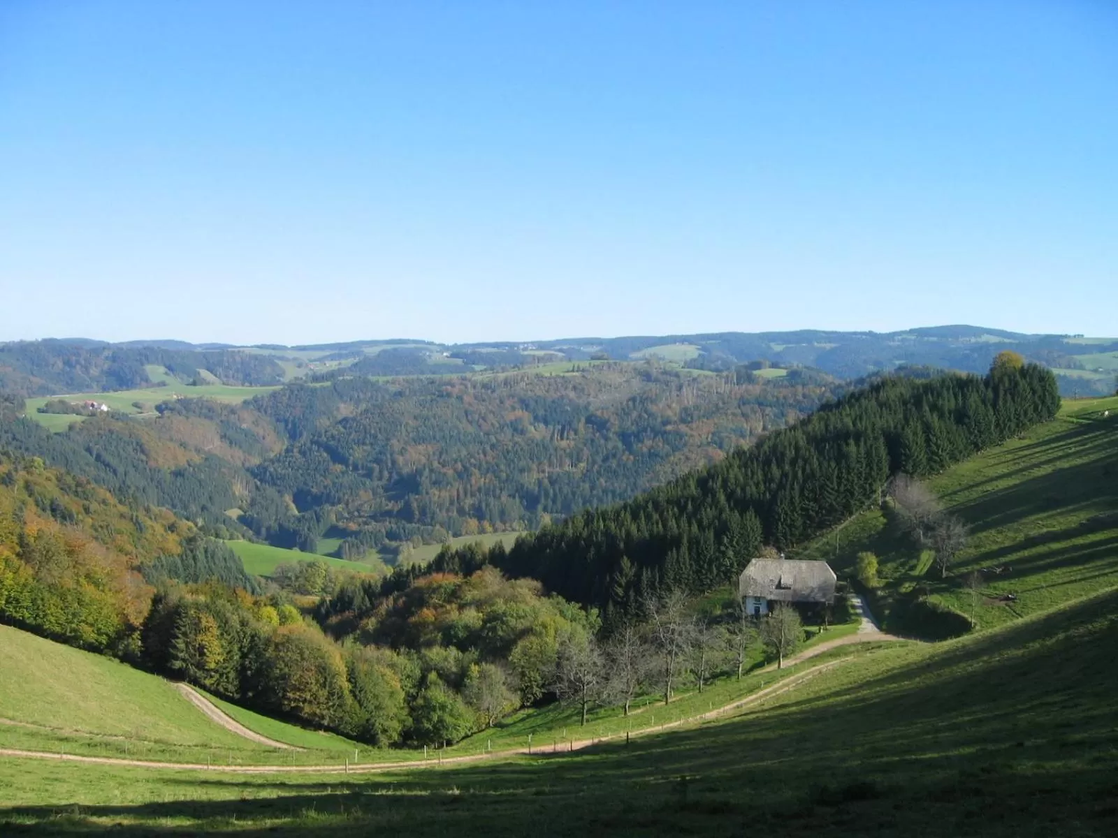 Nearby landmark in ZUR TRAUBE Schwarzwaldhotel & Restaurant am Titisee