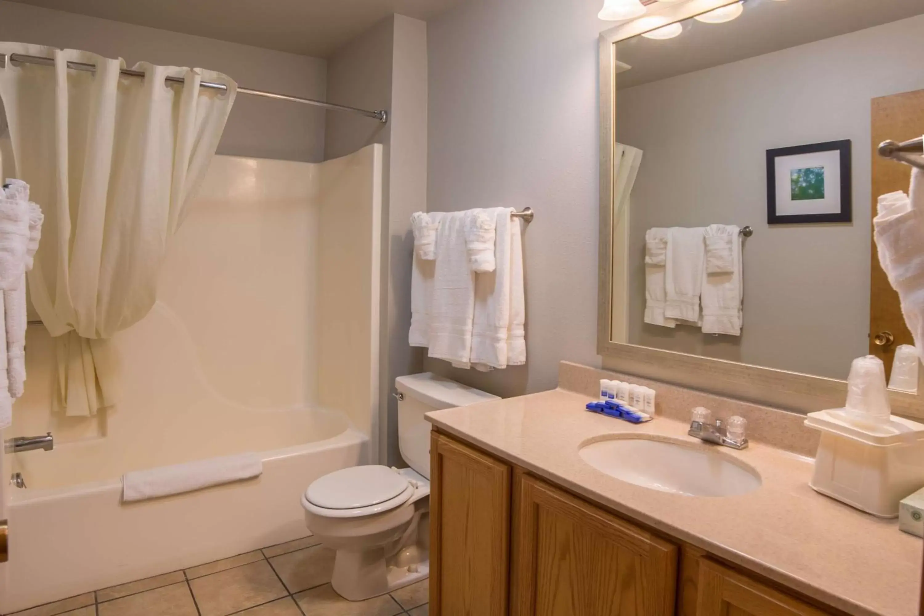 Bathroom in Best Western Black Hills Lodge