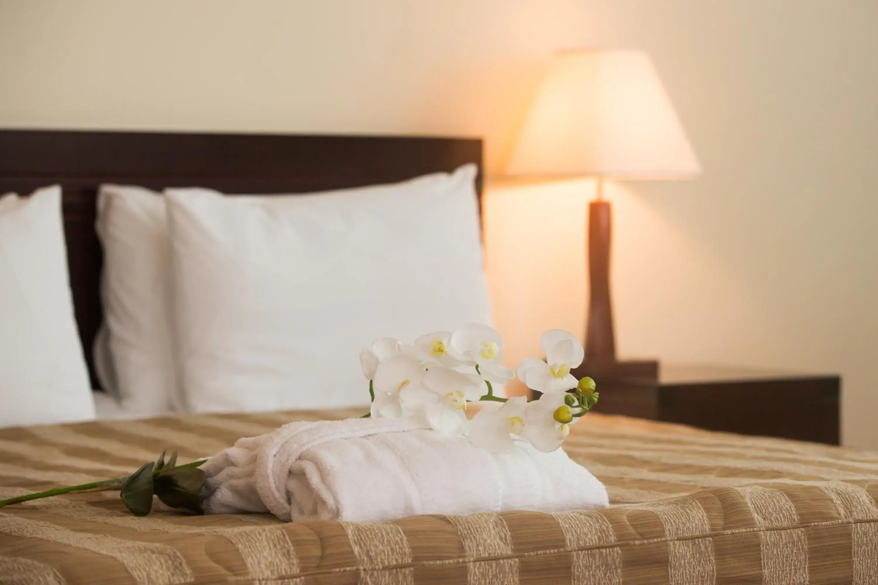 Living room, Bed in Jumbo Hotel