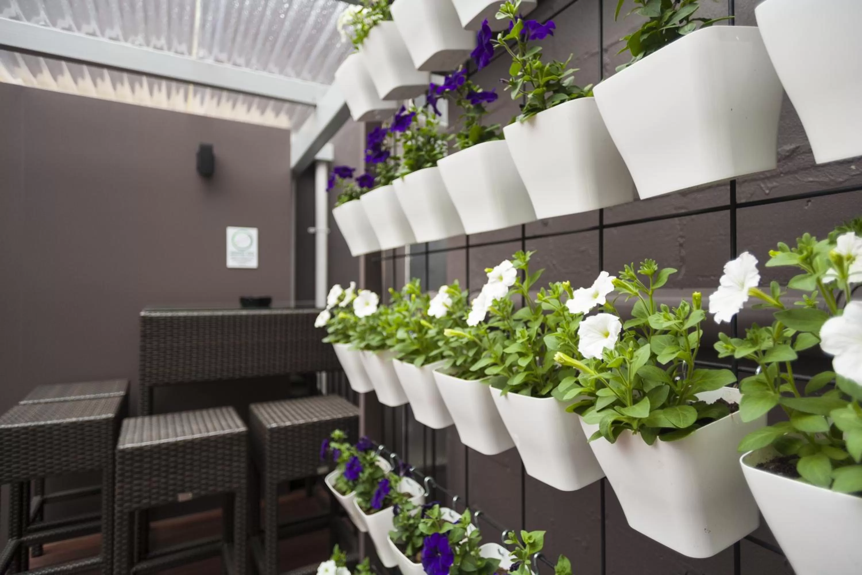 Garden in 315 Euro Motel and Serviced Apartments