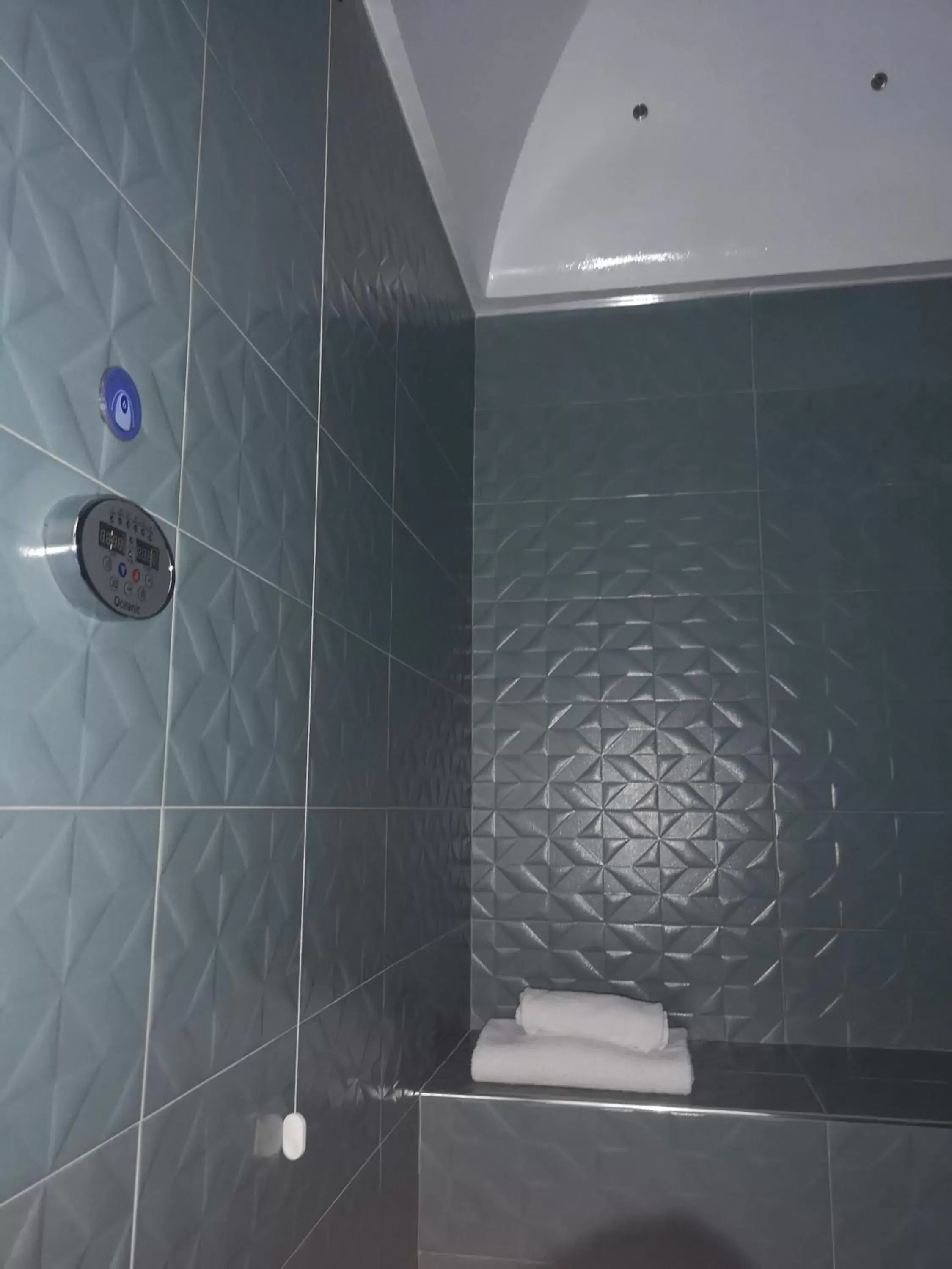 Steam room, Bathroom in Hotel Altavilla Catanzaro