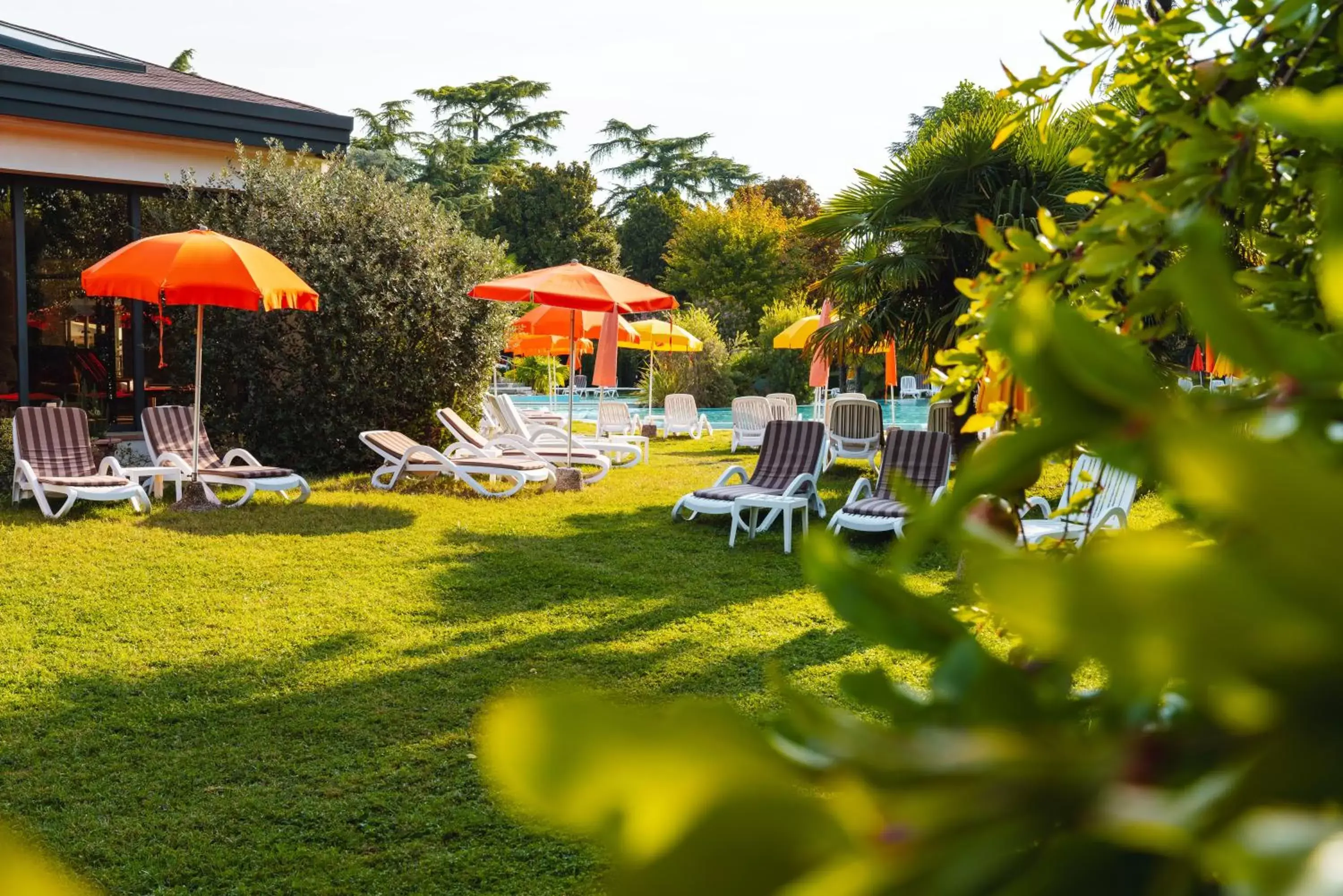 Garden, Swimming Pool in Hotel Garden Terme