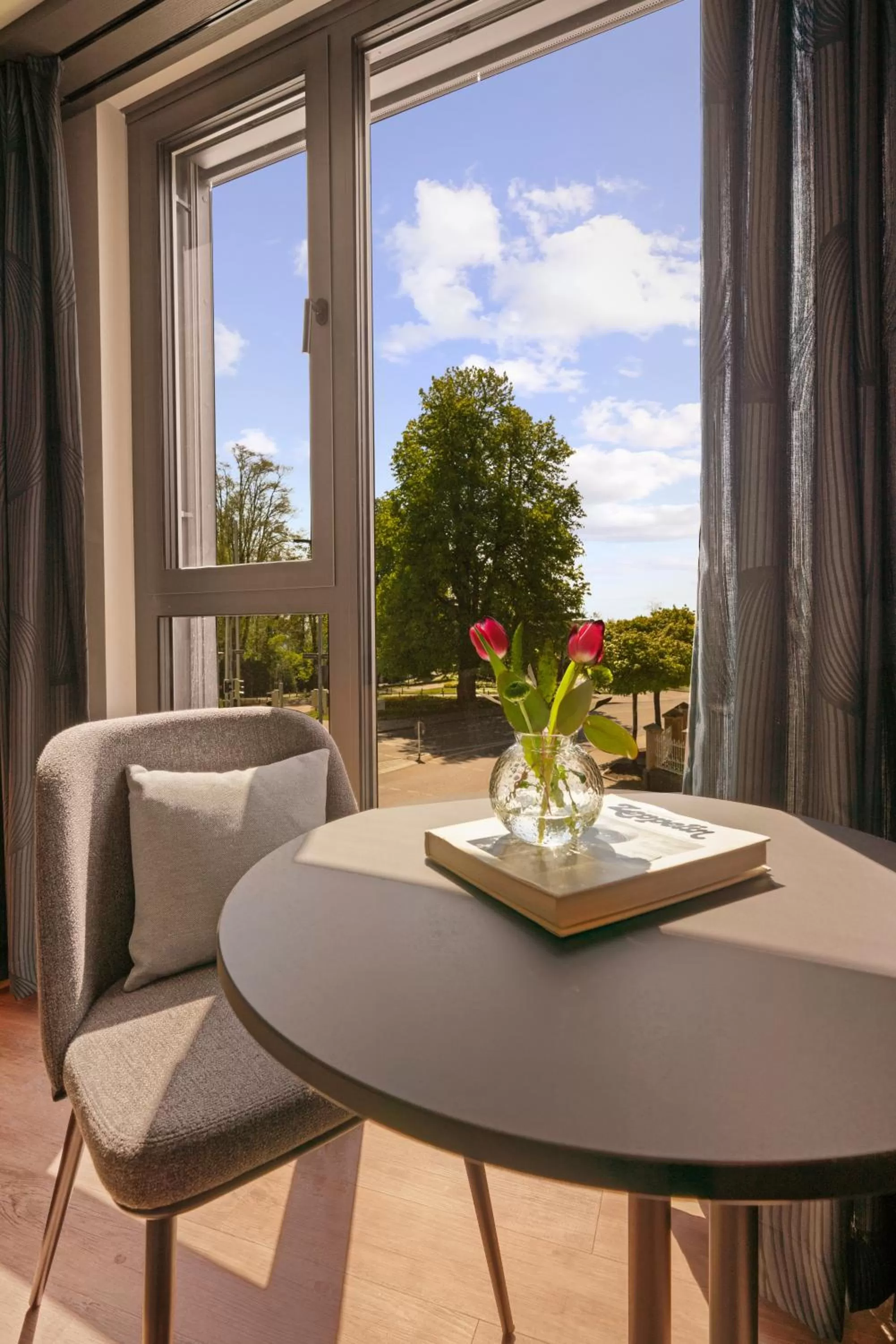 View (from property/room) in Lukullum