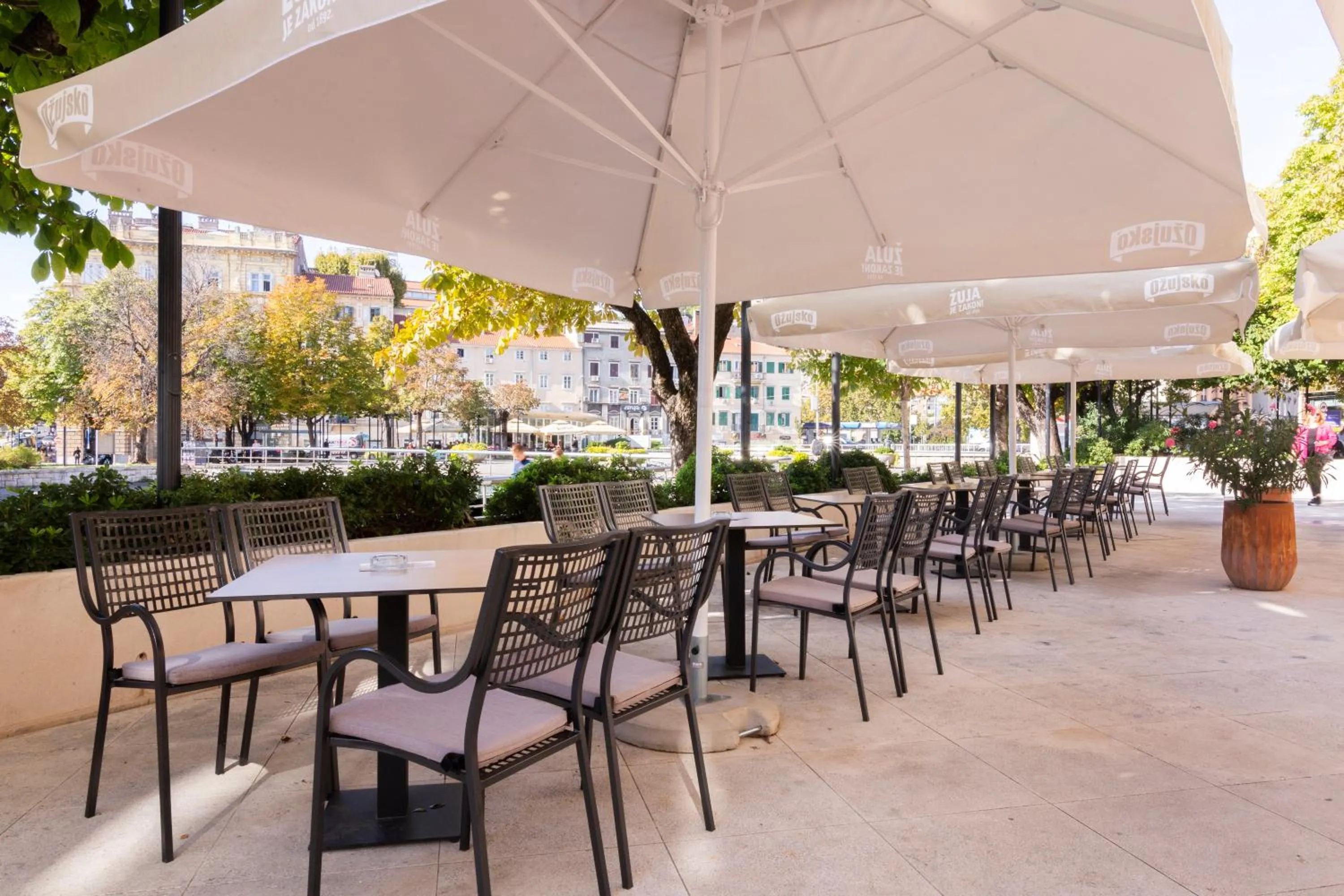 Restaurant/places to eat in Hotel Continental