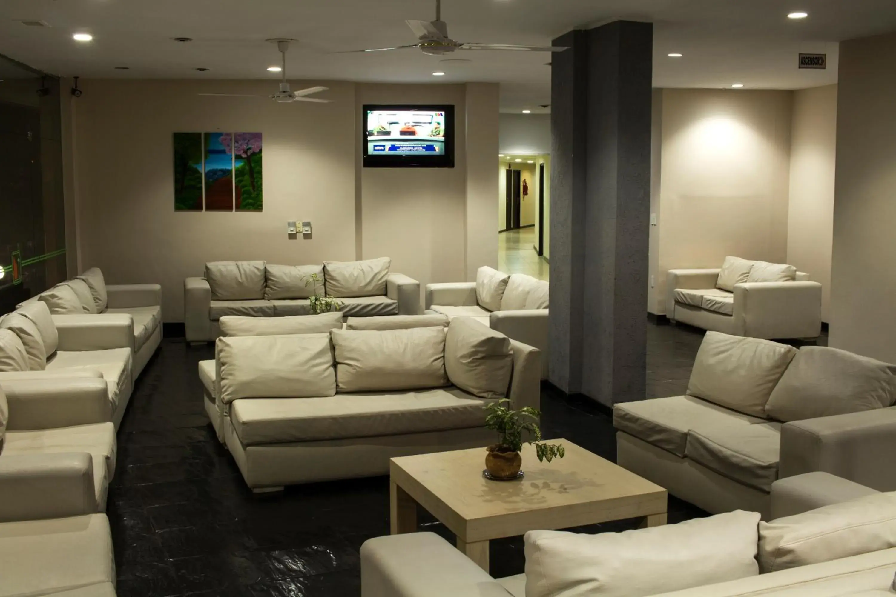 Communal lounge/ TV room, Seating Area in Hotel El Libertador