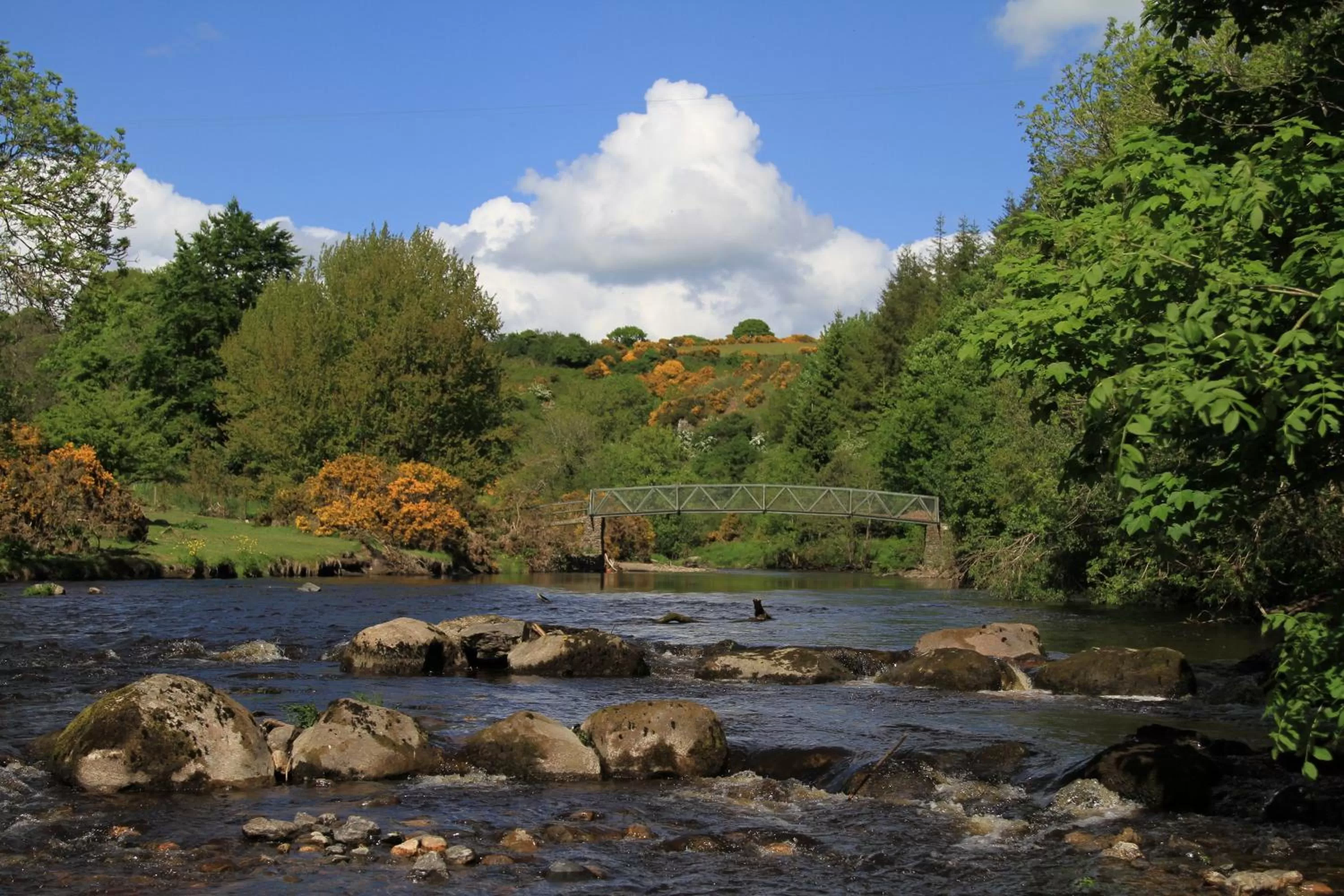 Day in Jacob's Well Hotel