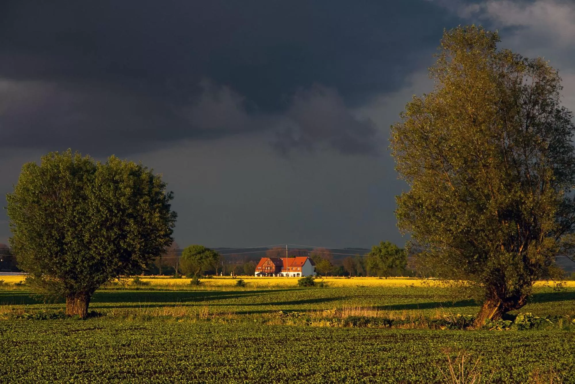 Area and facilities in Folwark Żuławski