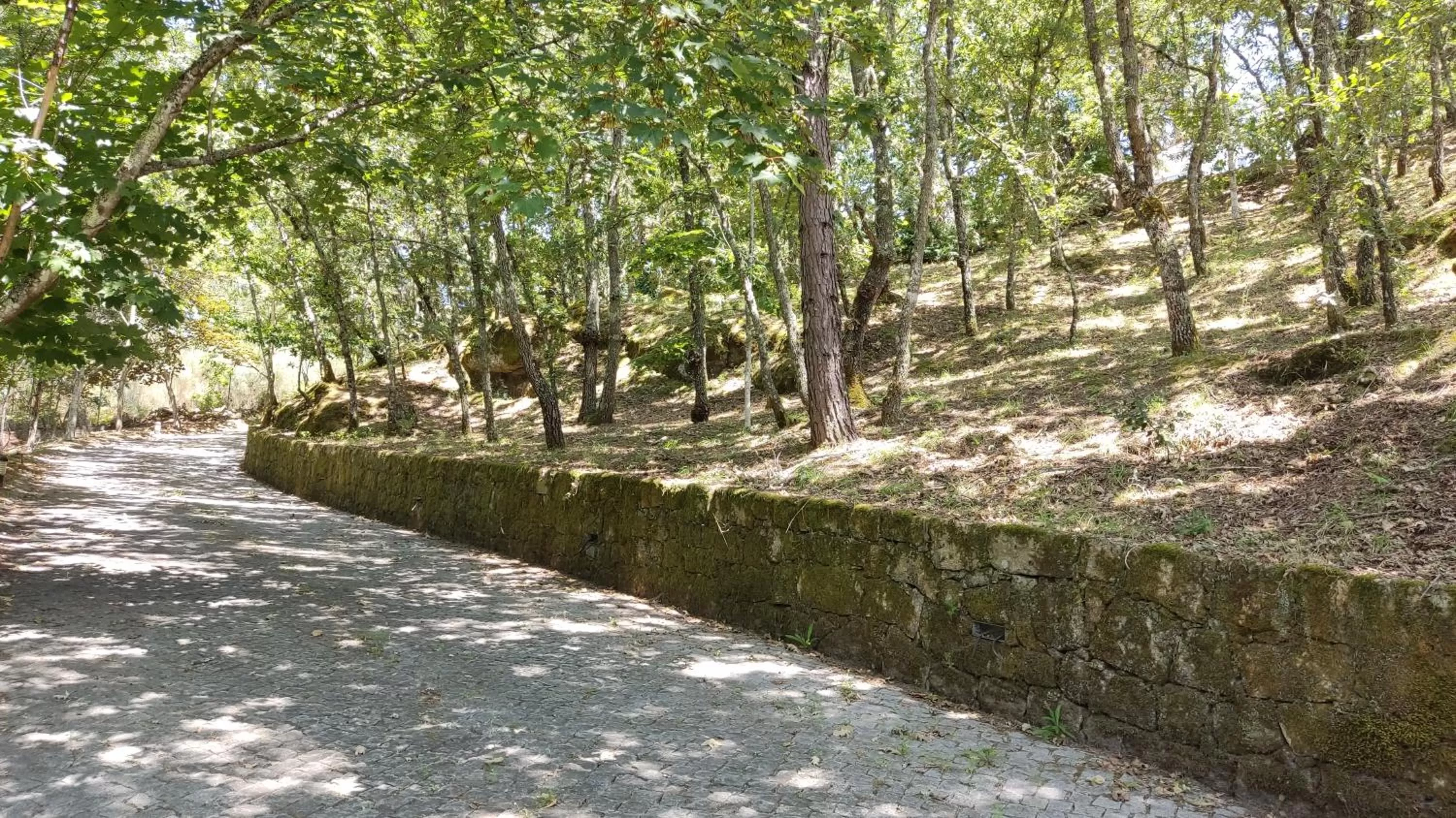 Day in Casa de Apeleiras