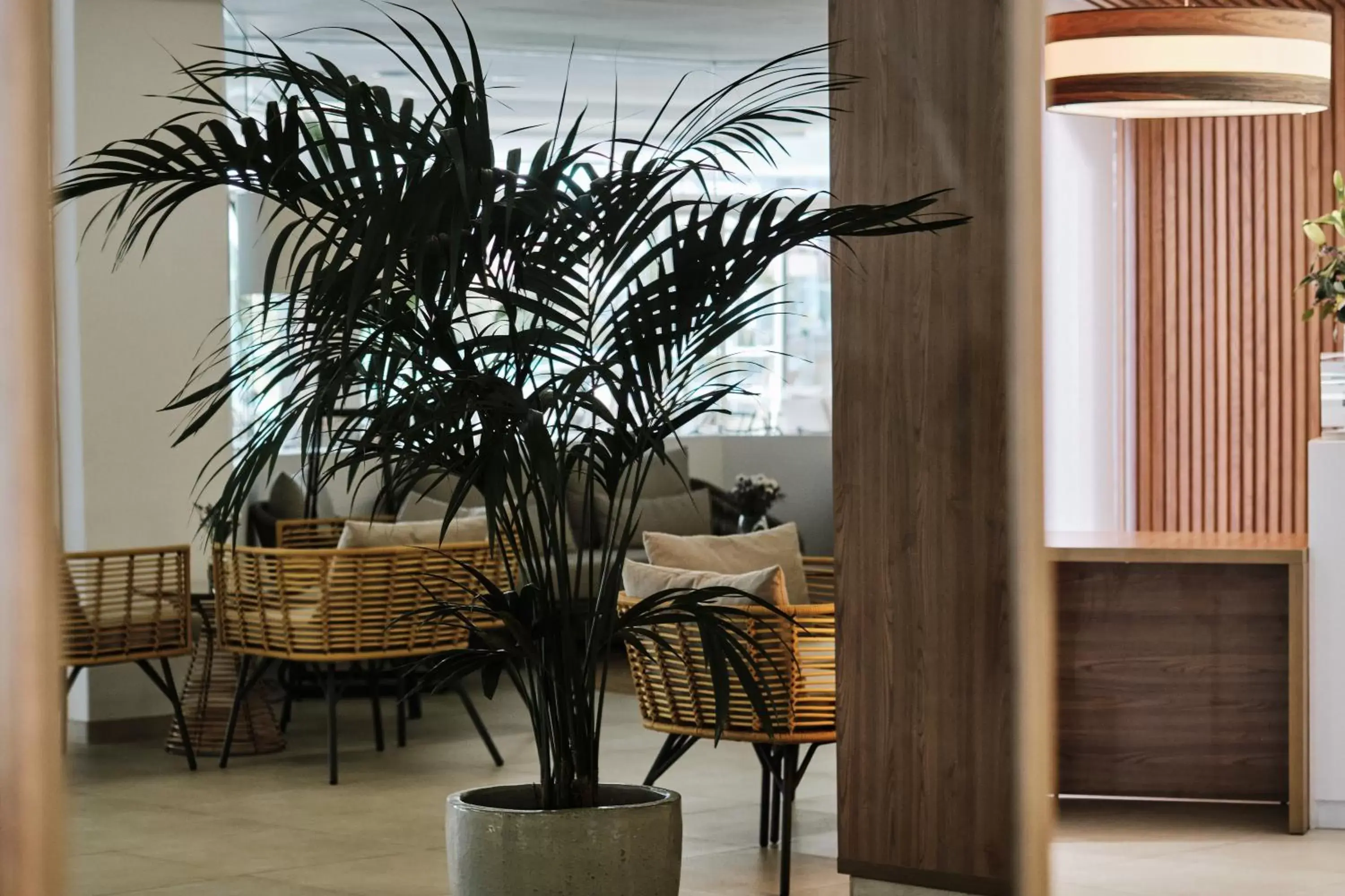 Lobby or reception in Helios Mallorca Hotel & Apartments