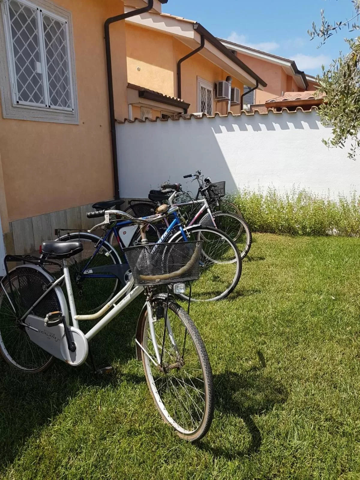 Cycling, Biking in Emotions