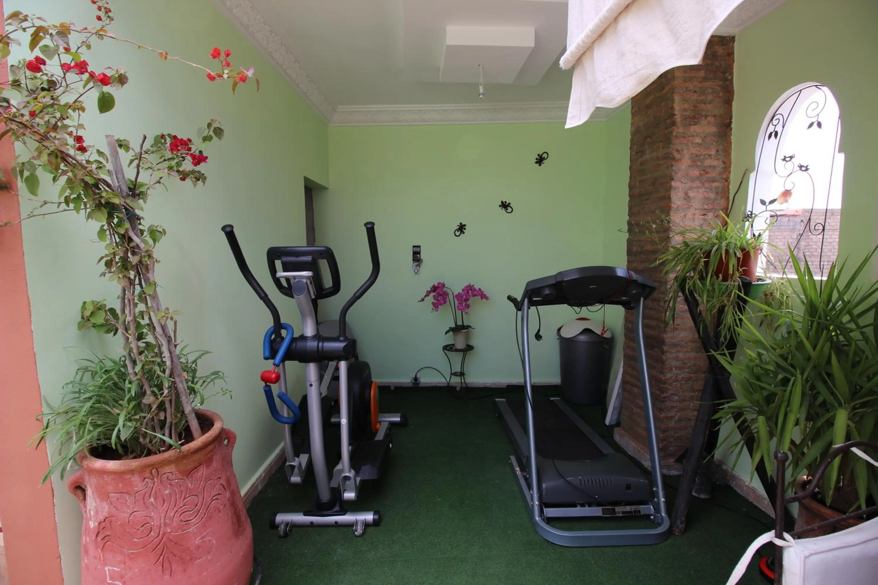 Fitness centre/facilities in Riad Eloise