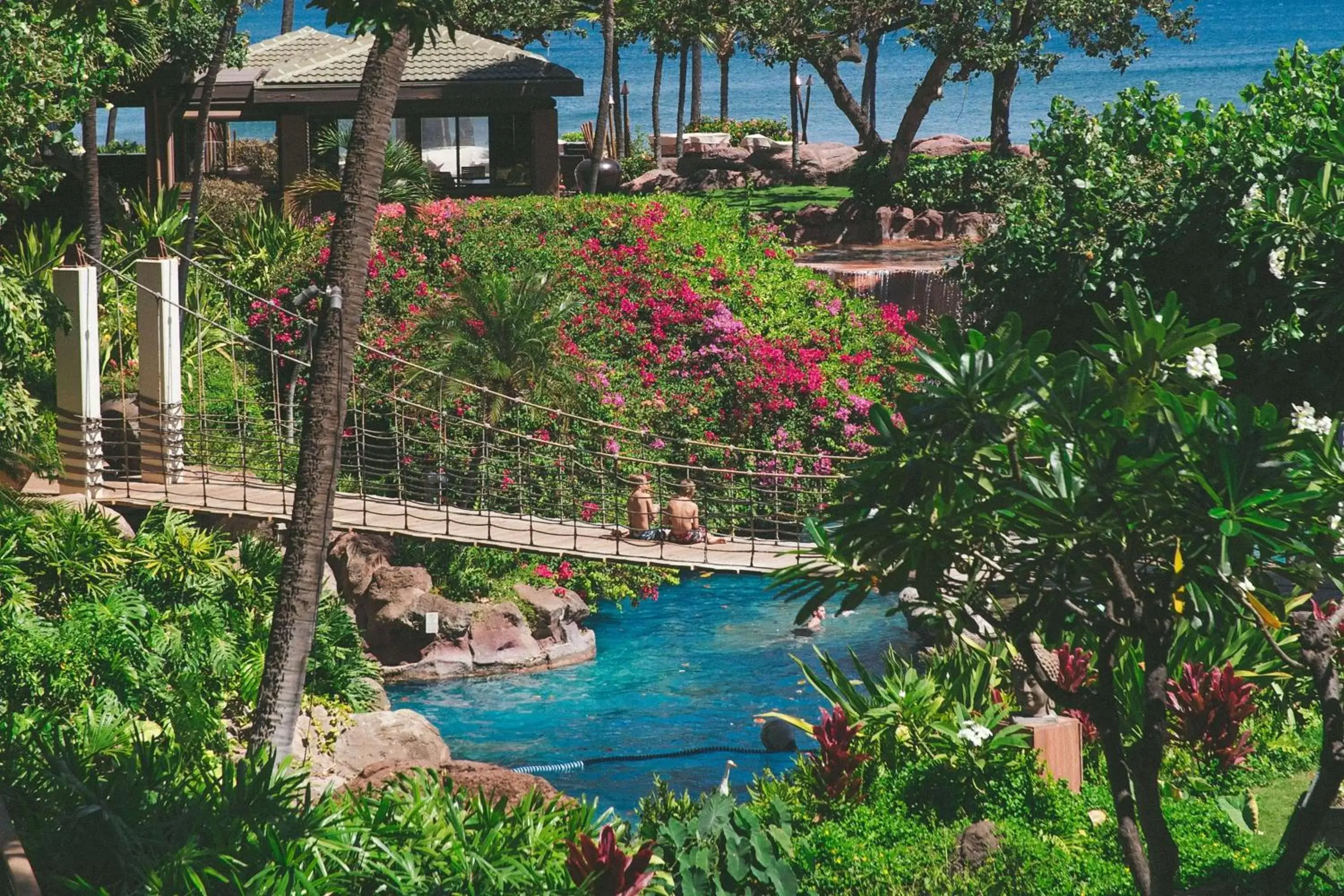 Pool View in Hyatt Regency Maui Resort & Spa