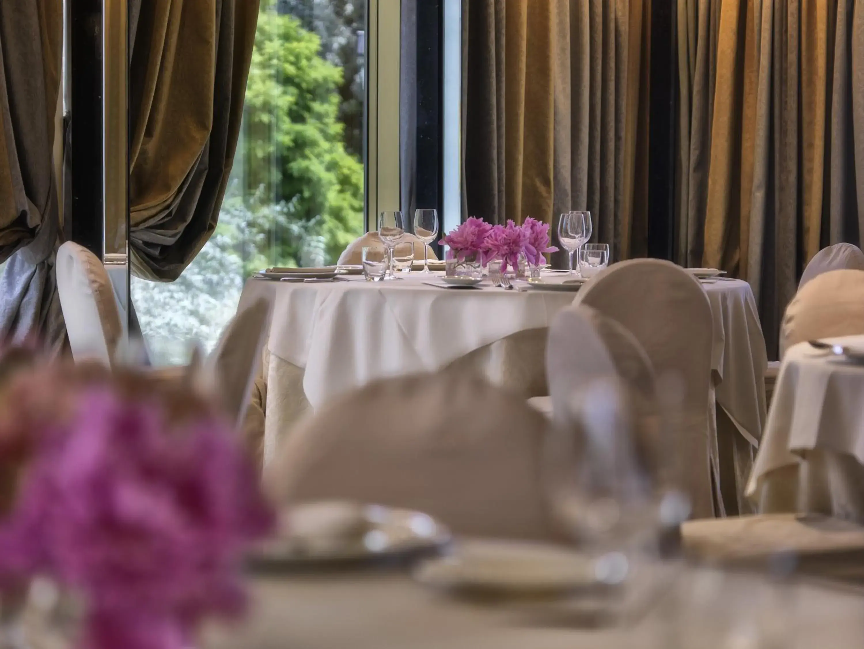 Restaurant/Places to Eat in Hotel Ambasciatori