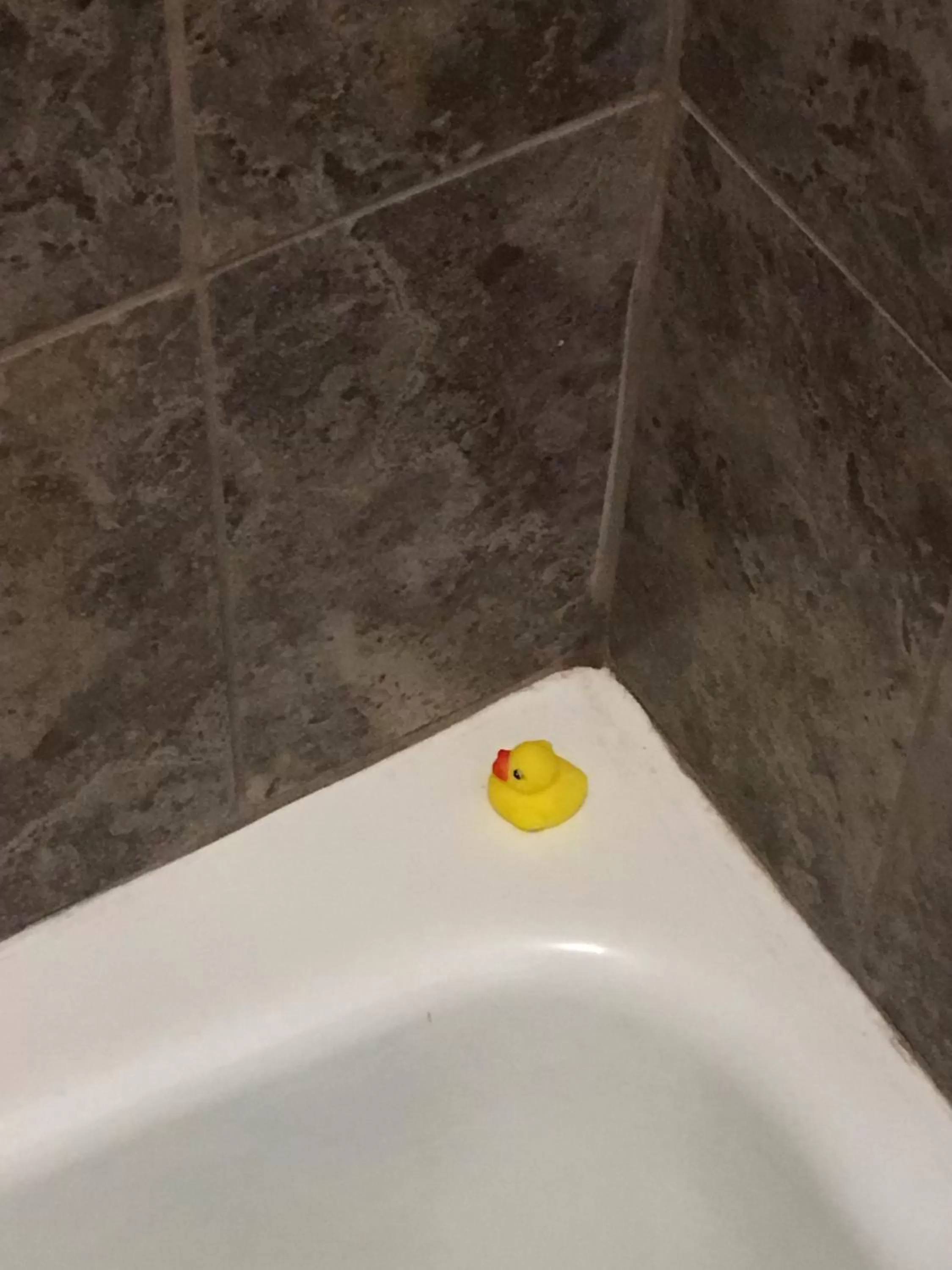 Decorative detail in Cardinal Inn