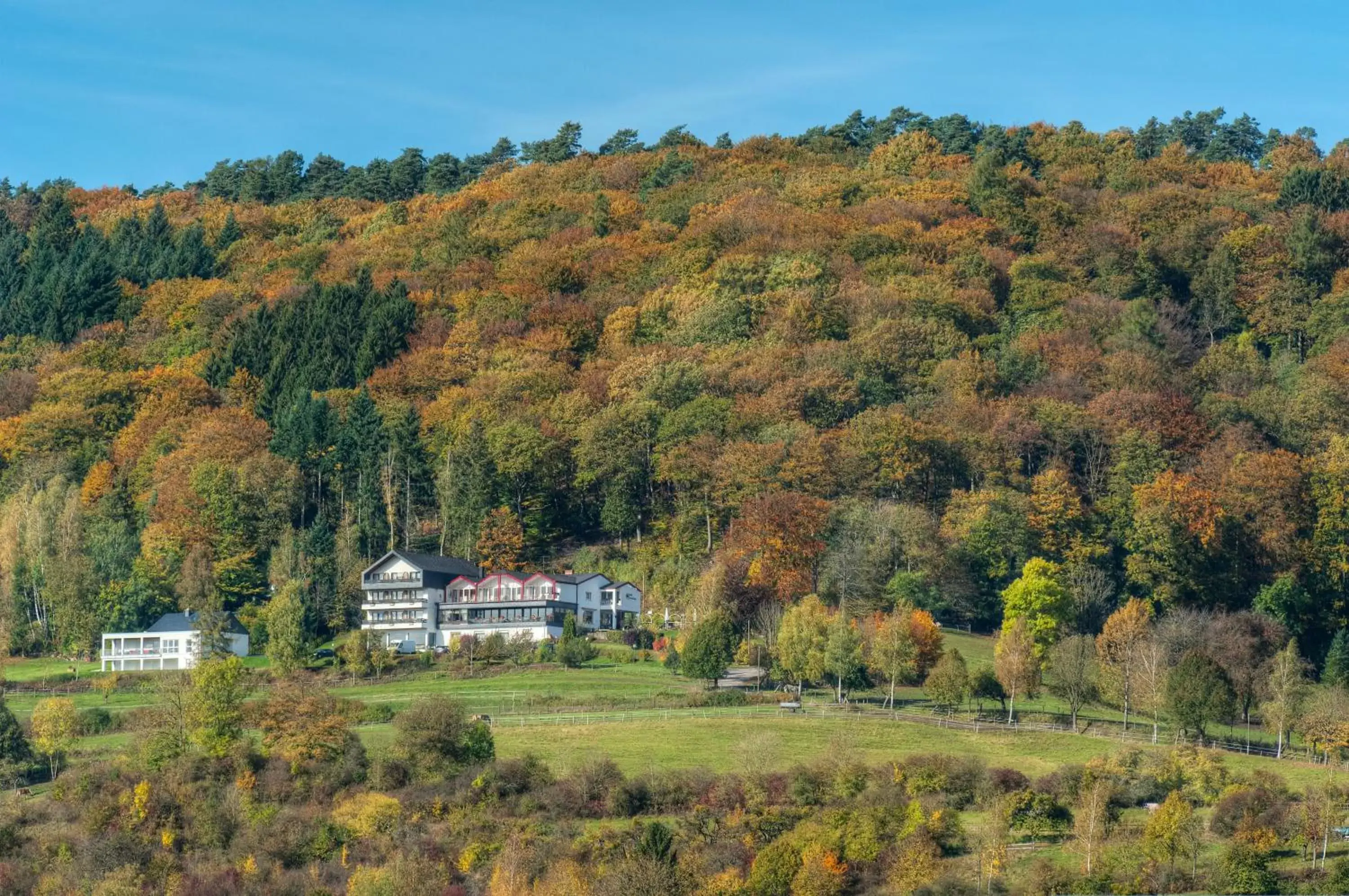 Natural landscape in Waldhotel Sonnenberg