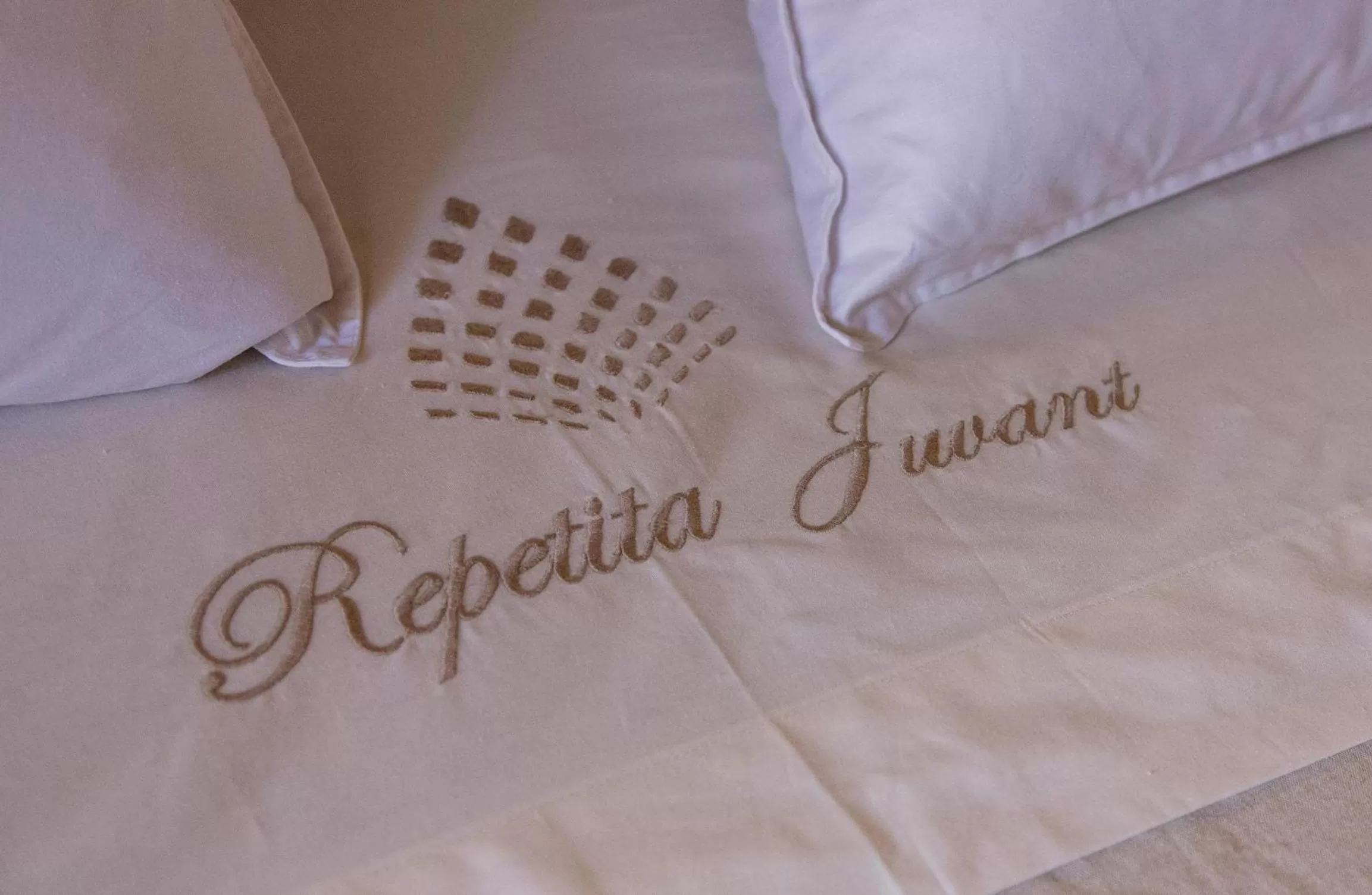 Property logo or sign, Property Logo/Sign in Repetita Juvant