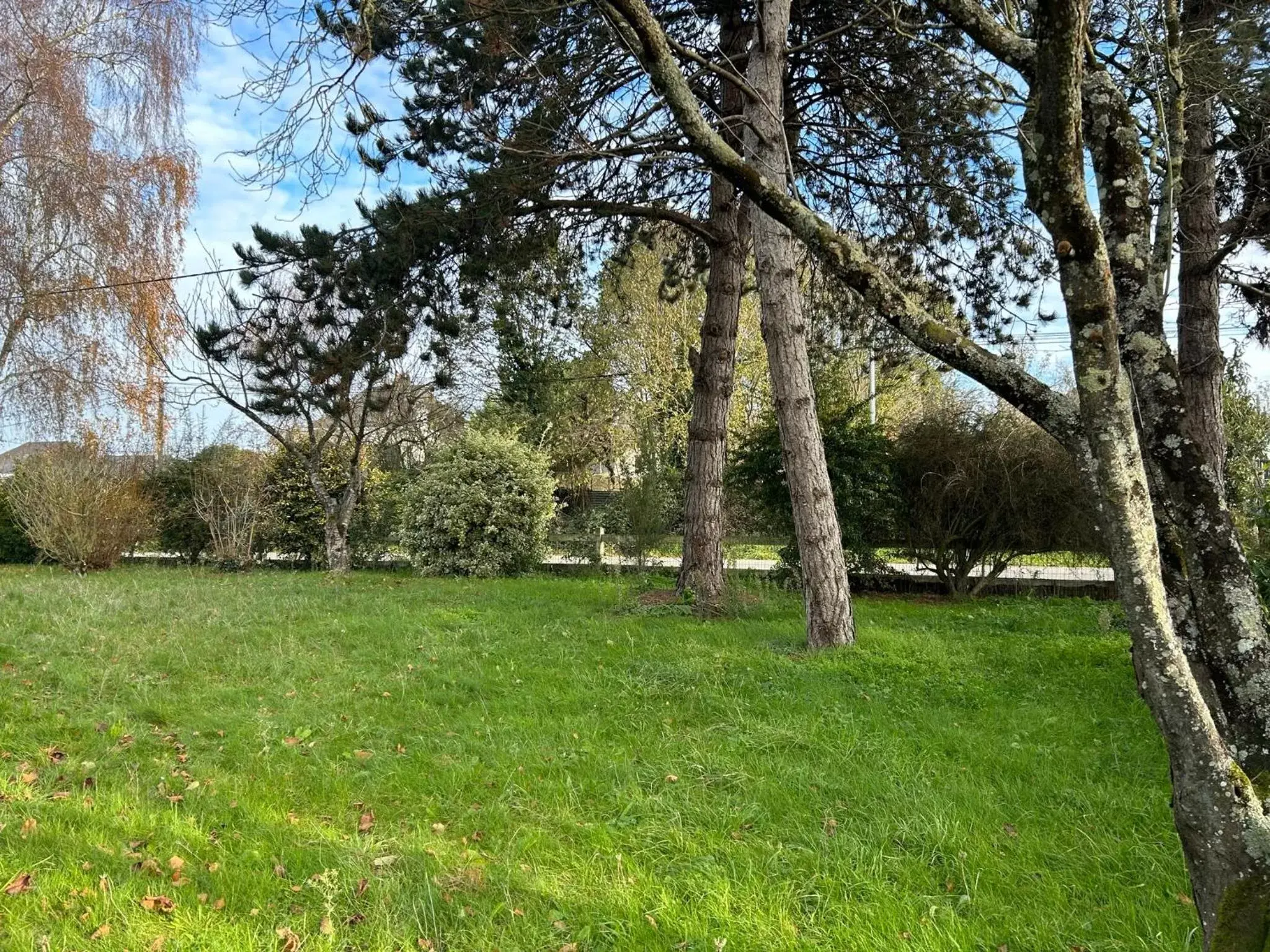 Garden view, Garden in ARC EN CIEL B&B