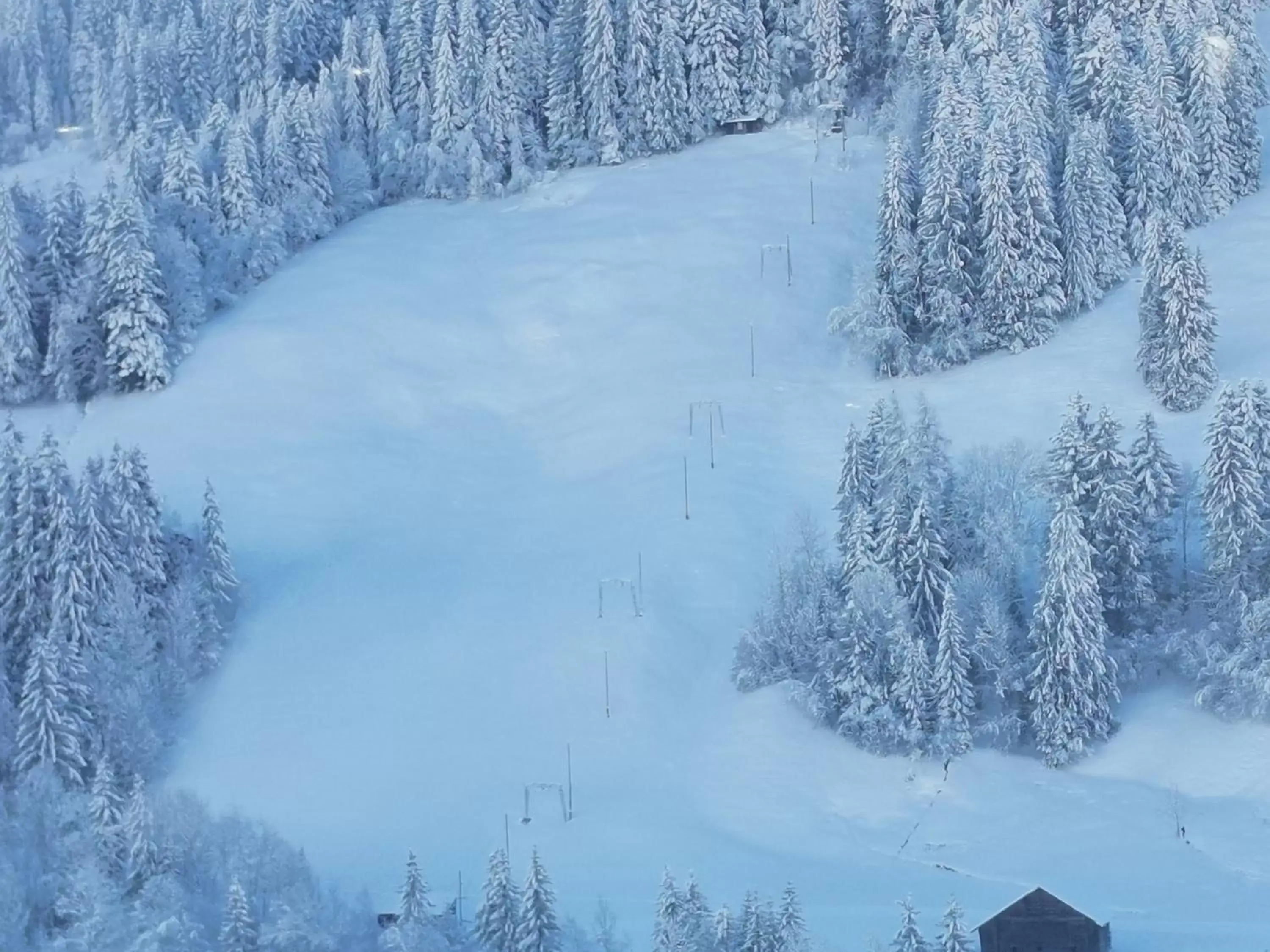 Natural landscape, Winter in Hôtel de Rougemont & Spa