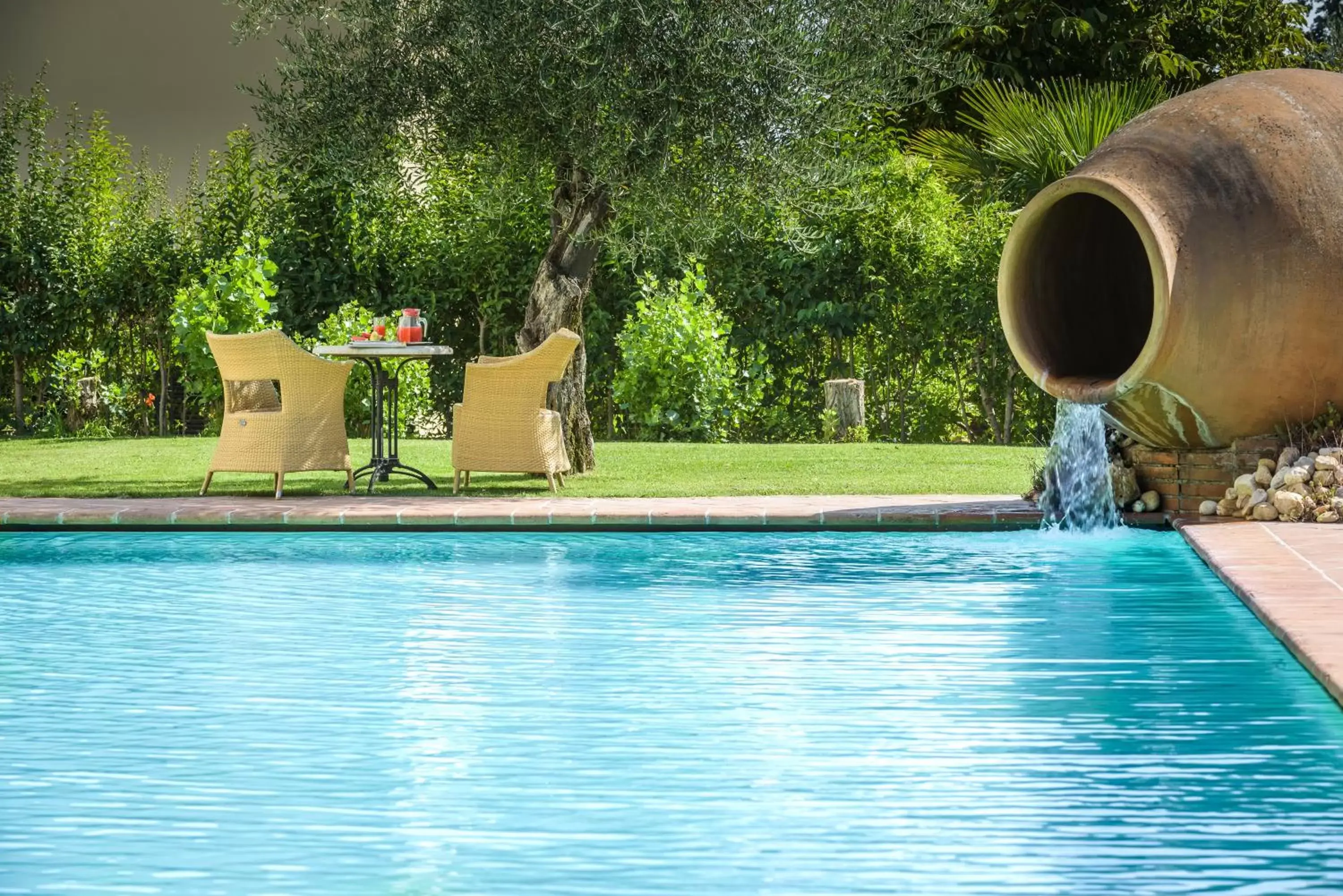 Garden, Swimming Pool in Hotel San Gregorio