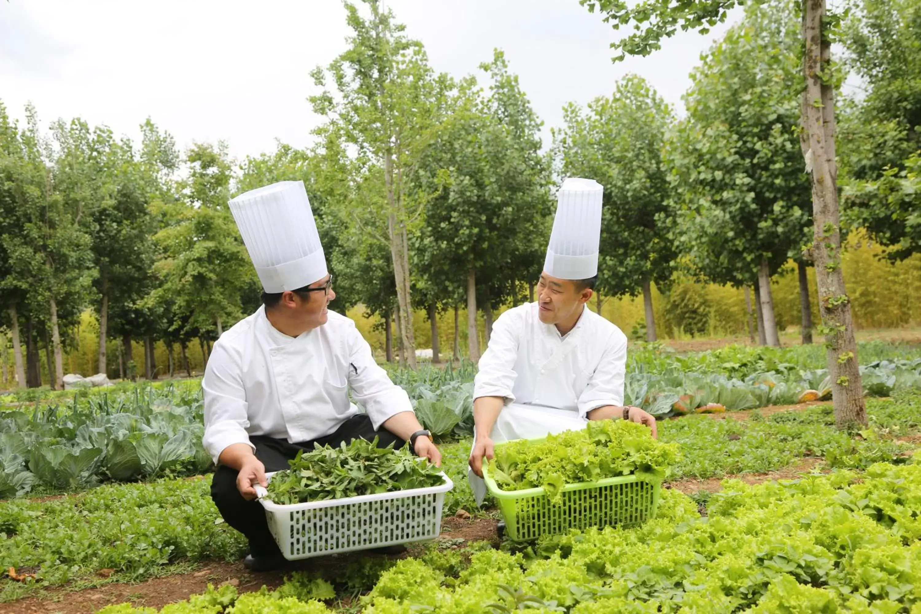 Activities in Banyan Tree Lijiang